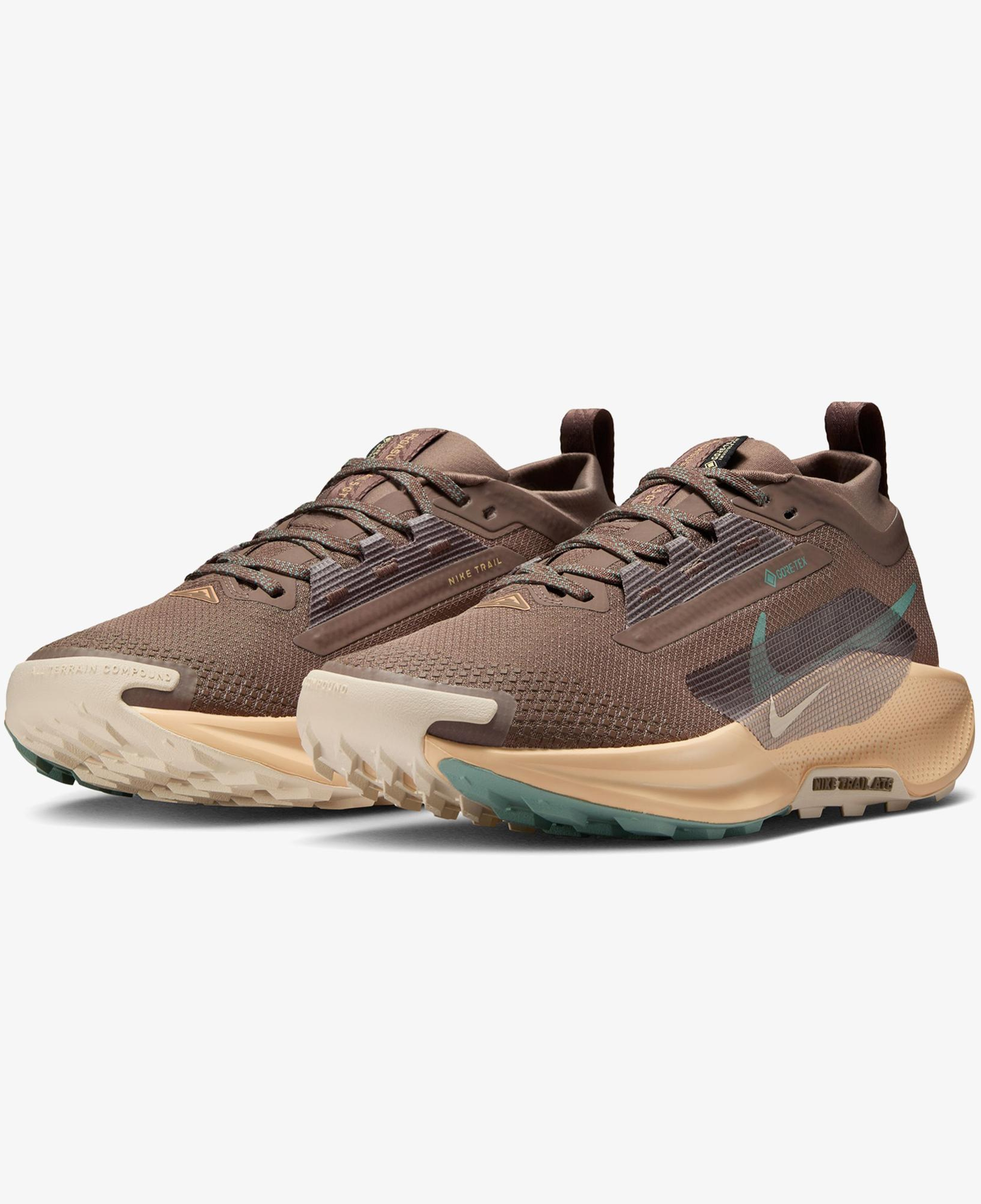 Nike Pegasus Trail 5 Gore-Tex Kadın Kahverengi Koşu Ayakkabısı