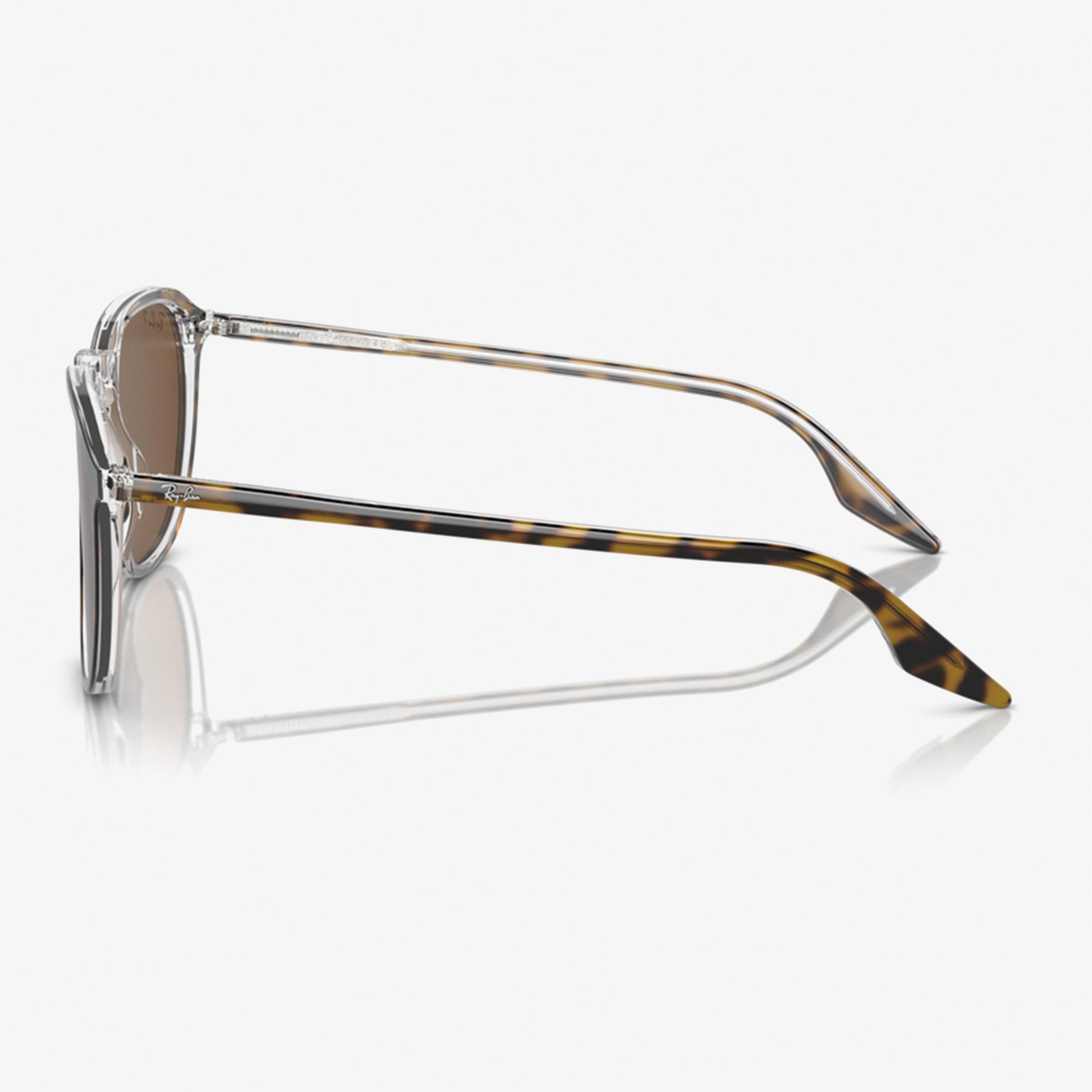 RAY-BAN 0RB2203 Acetate Unisex Kahverengi Güneş Gözlüğü