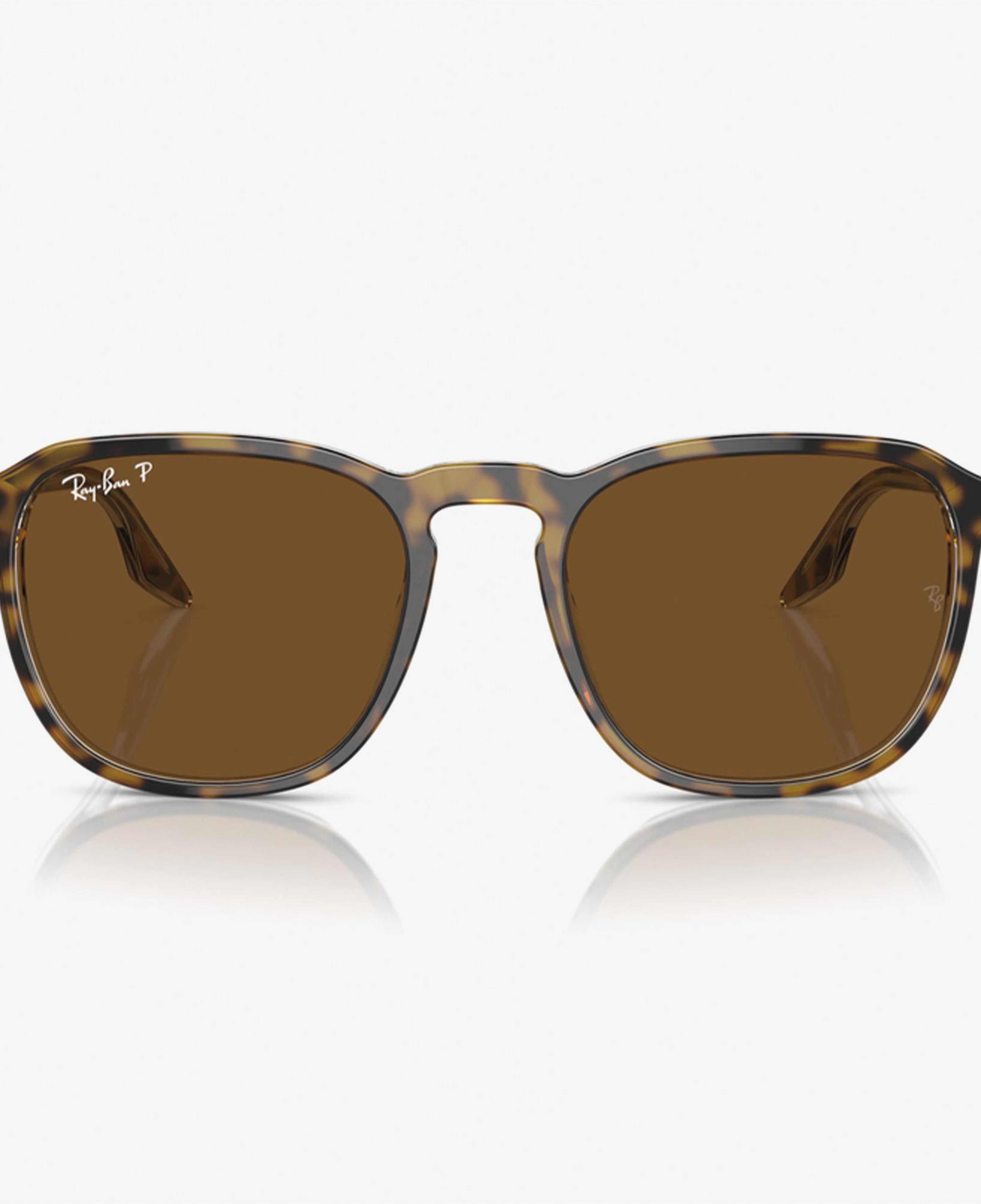 RAY-BAN 0RB2203 Acetate Unisex Kahverengi Güneş Gözlüğü