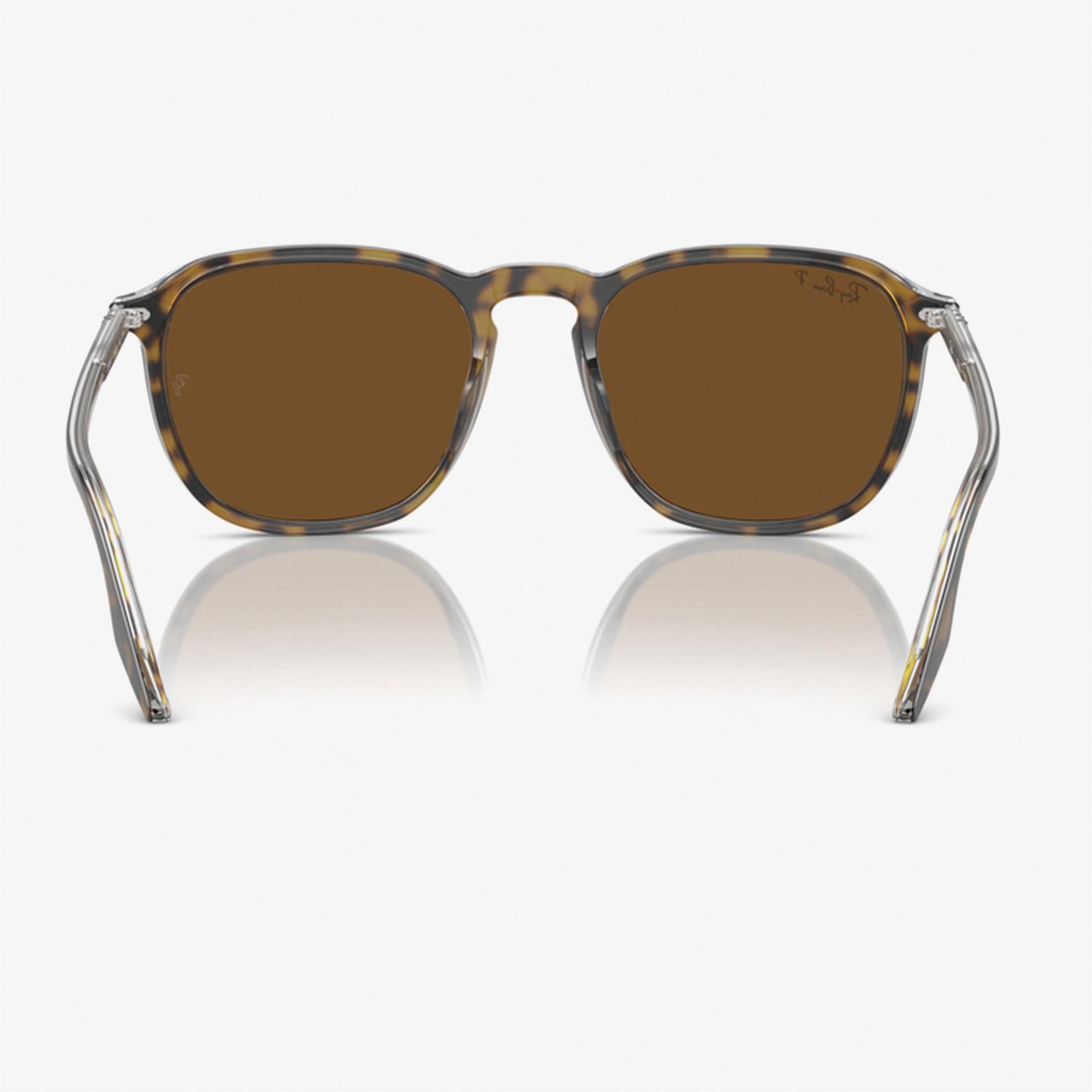 RAY-BAN 0RB2203 Acetate Unisex Kahverengi Güneş Gözlüğü