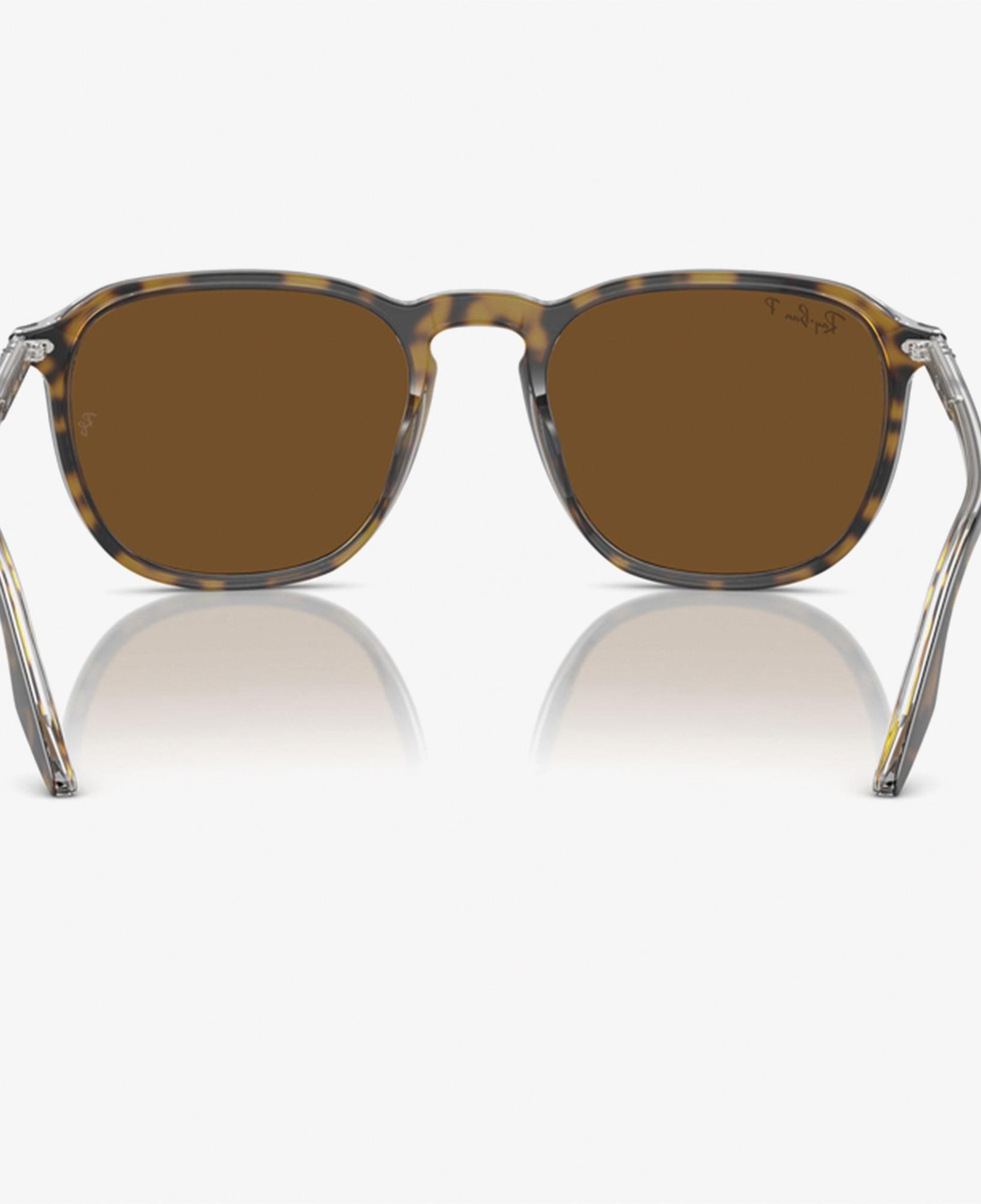RAY-BAN 0RB2203 Acetate Unisex Kahverengi Güneş Gözlüğü