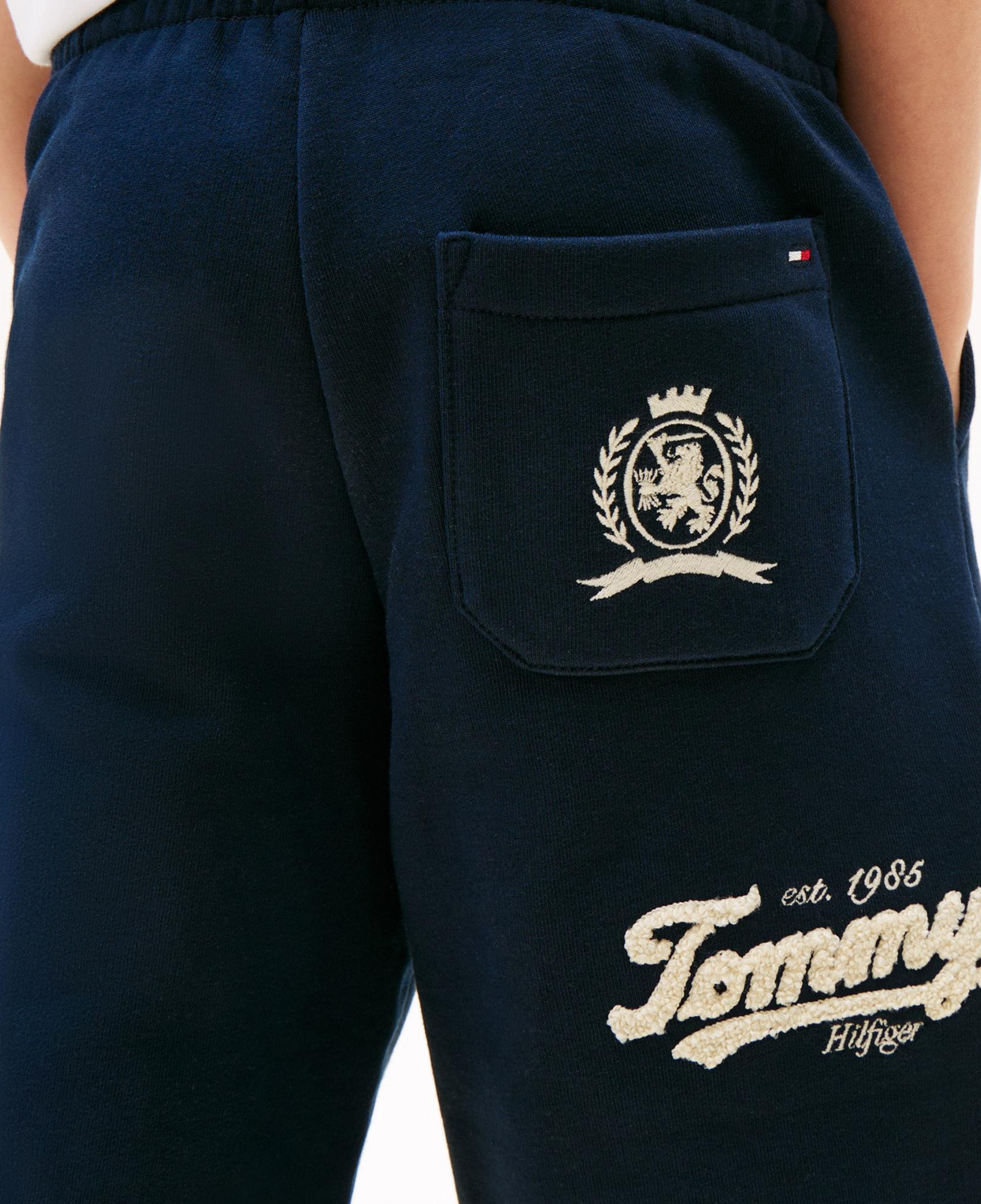 Tommy Hilfiger Varsity Graphic Çocuk Lacivert Eşofman Altı