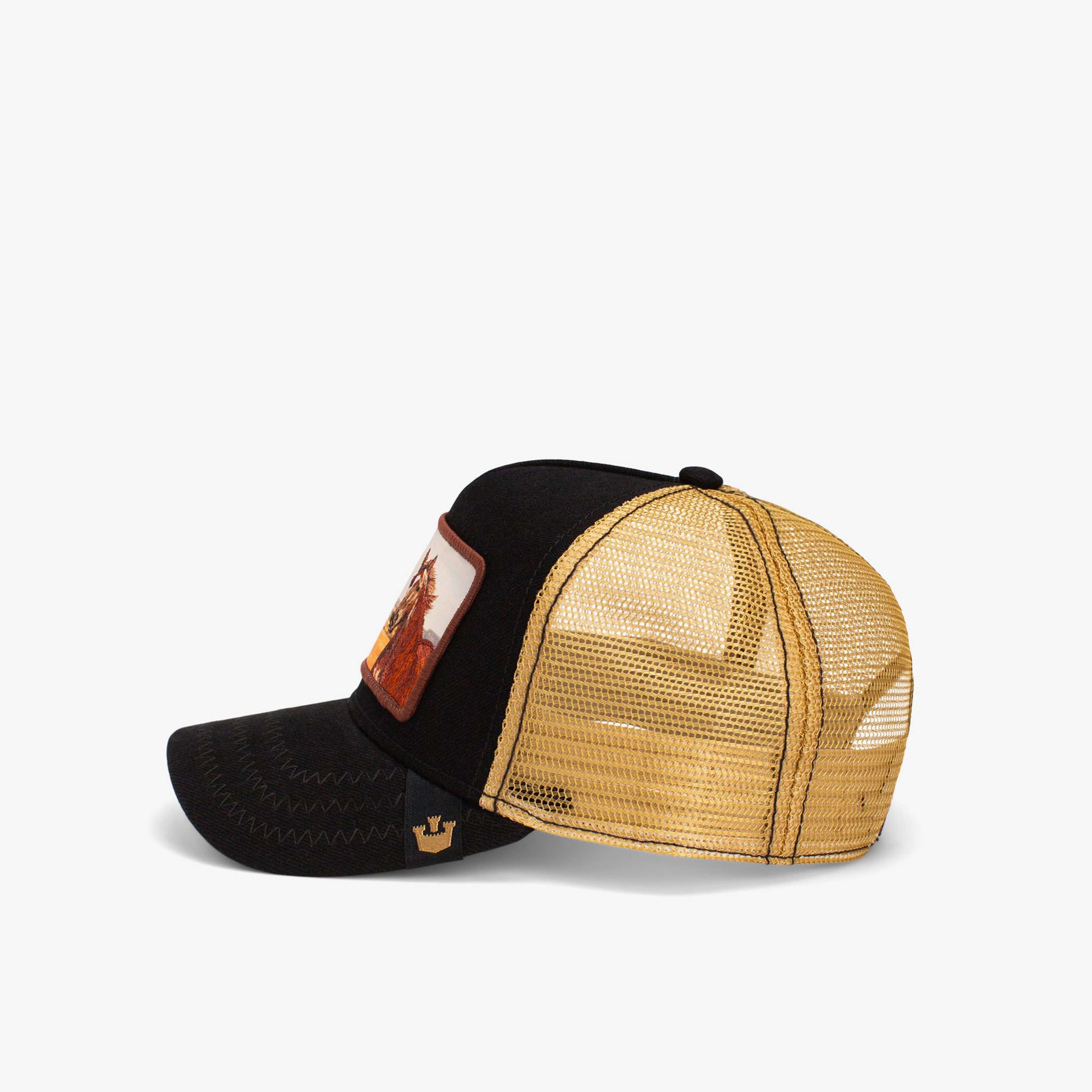 Goorin Bros Easy Rider Unisex Siyah Şapka