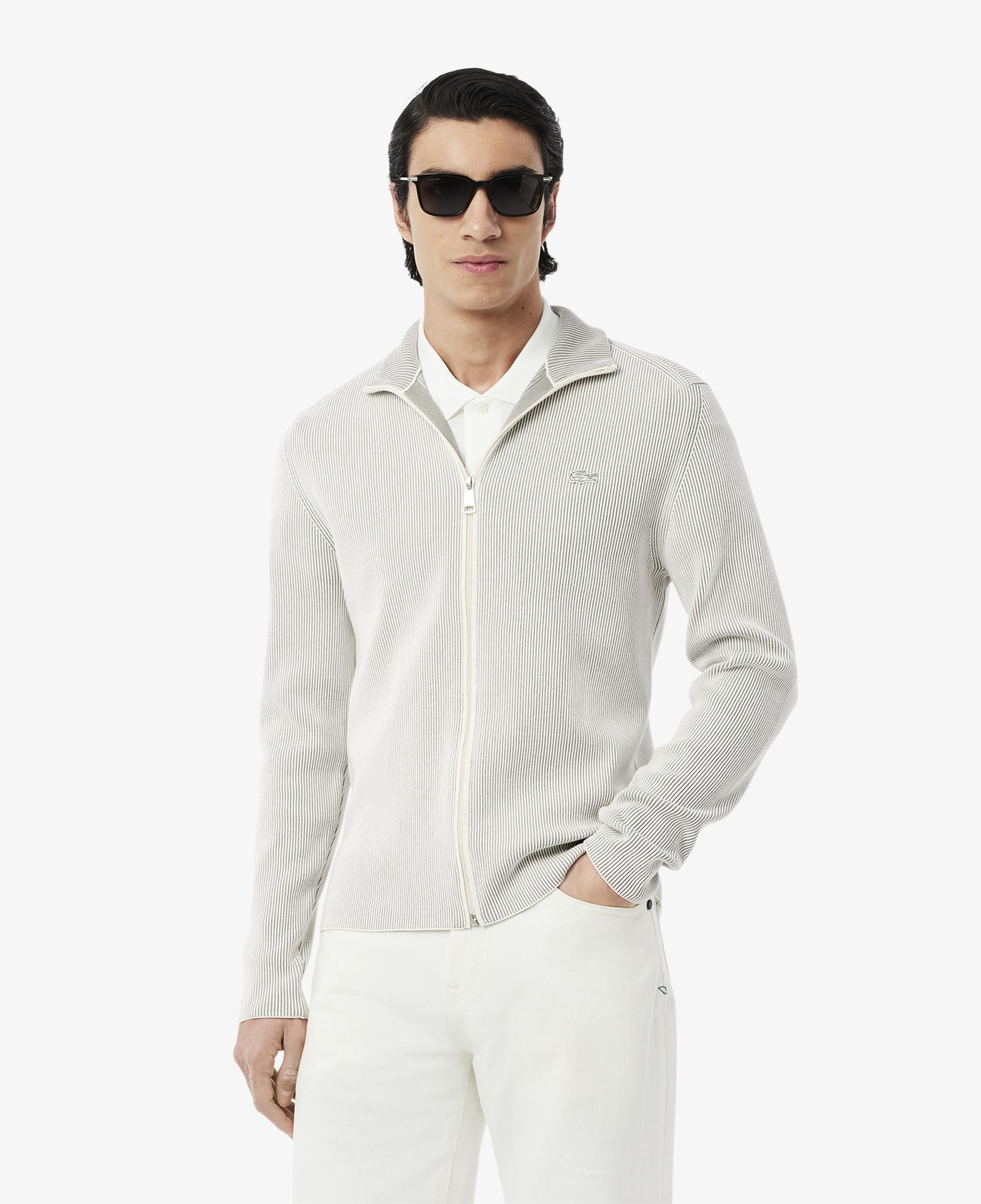 Lacoste Erkek Classic Fit Fermuarlı Yaka Gri Triko