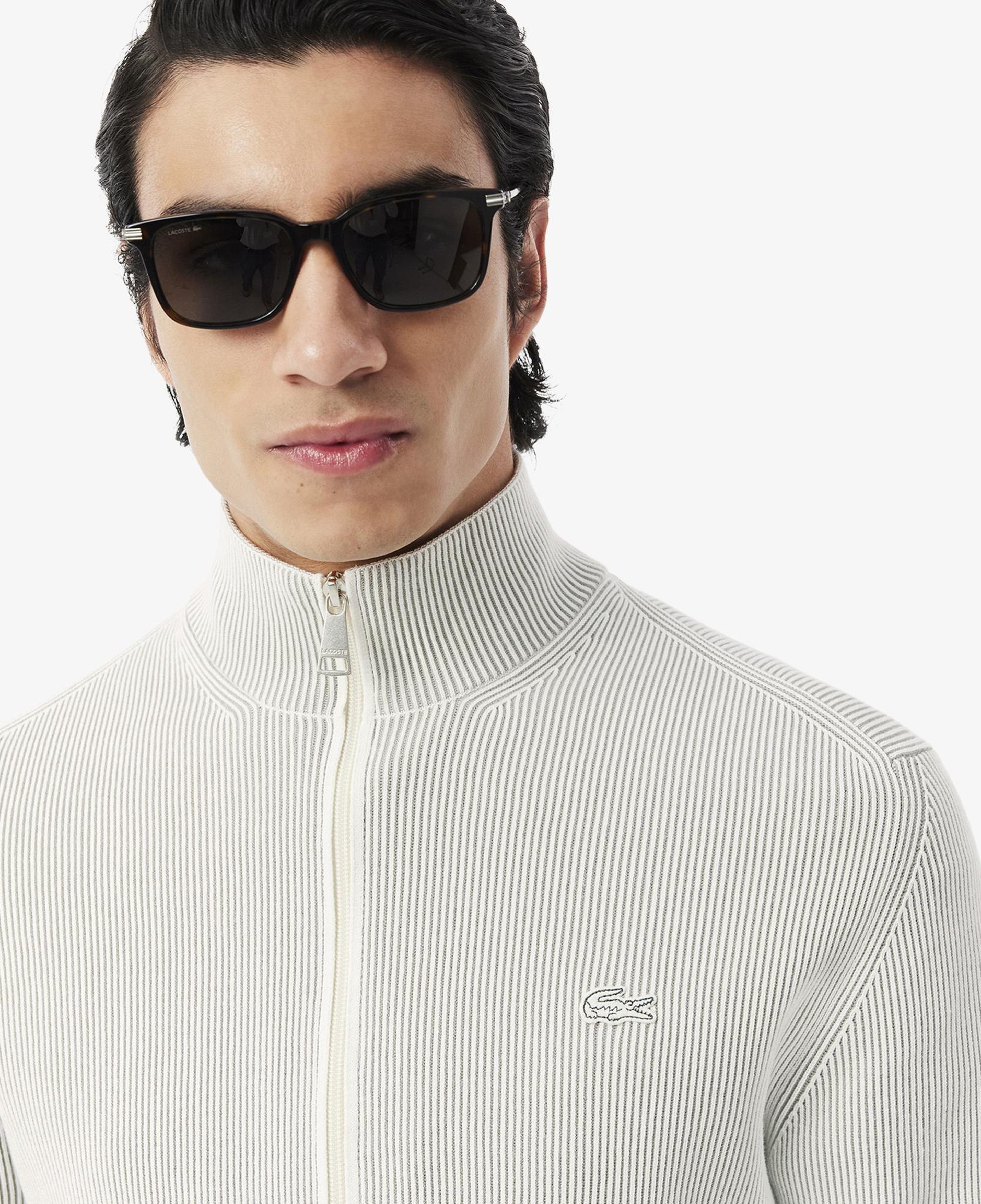 Lacoste Erkek Classic Fit Fermuarlı Yaka Gri Triko