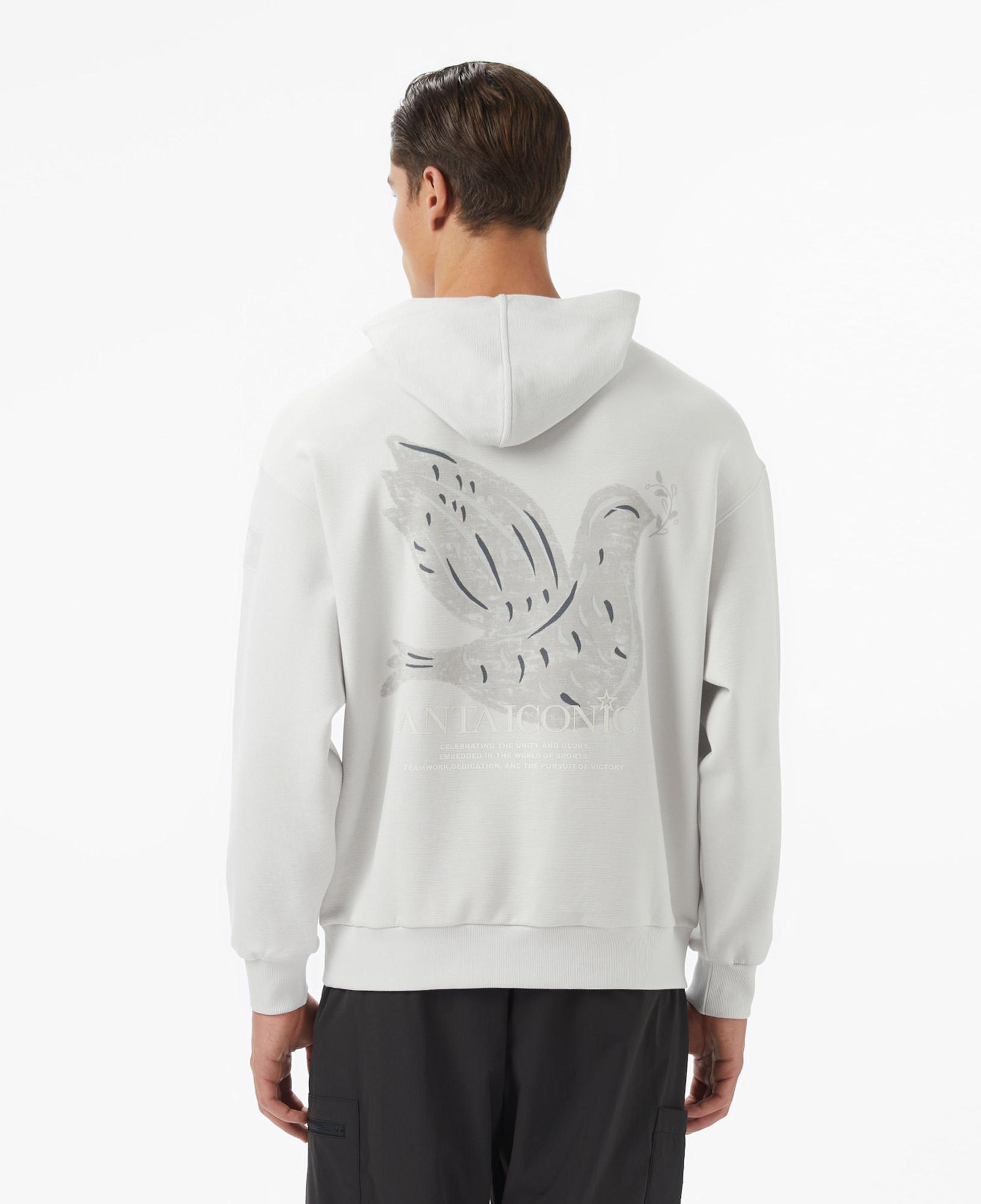 Anta Iconic Erkek Gri Sweatshirt