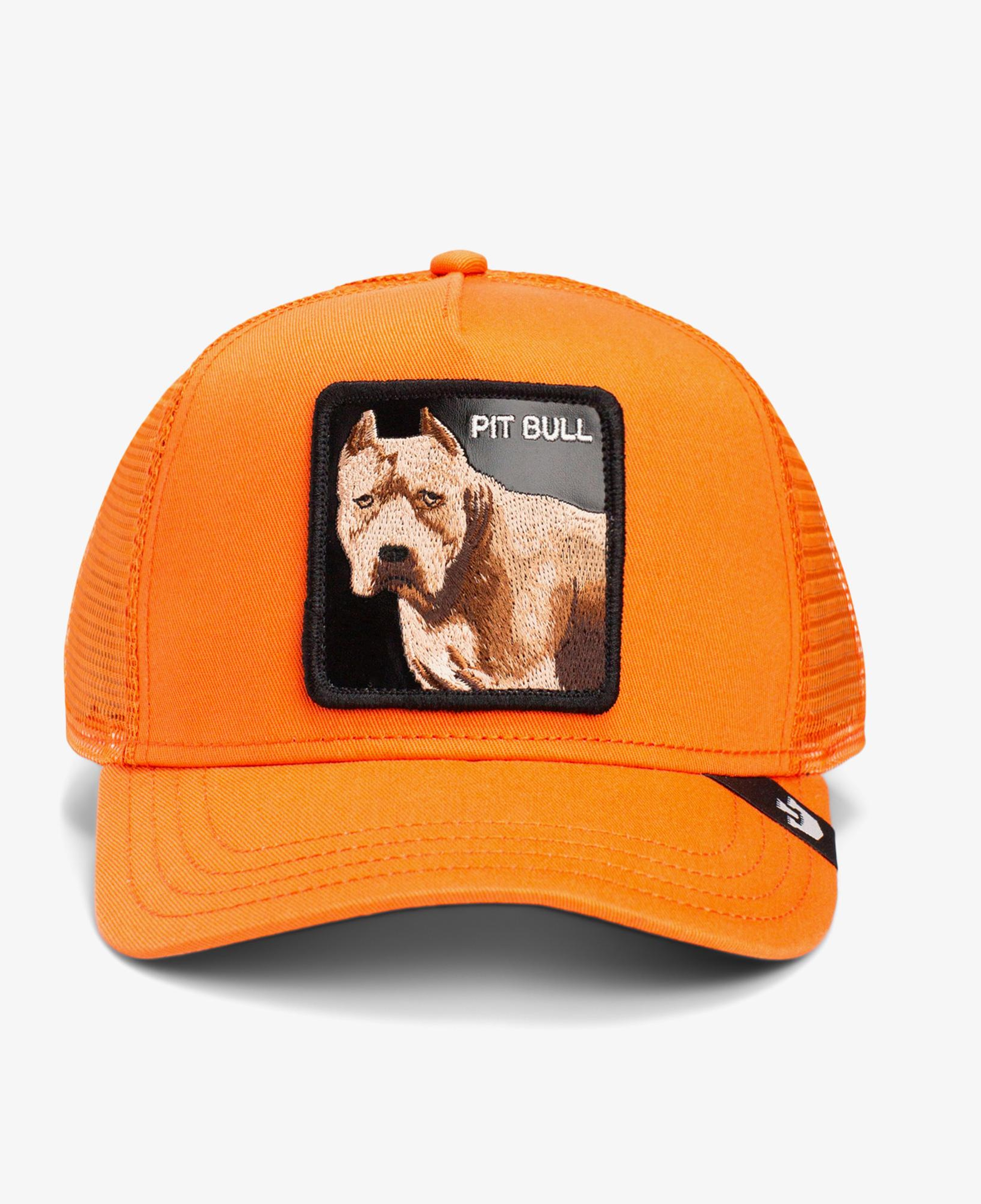 Goorin Bros The Dog Pitbull Unisex Turuncu Şapka