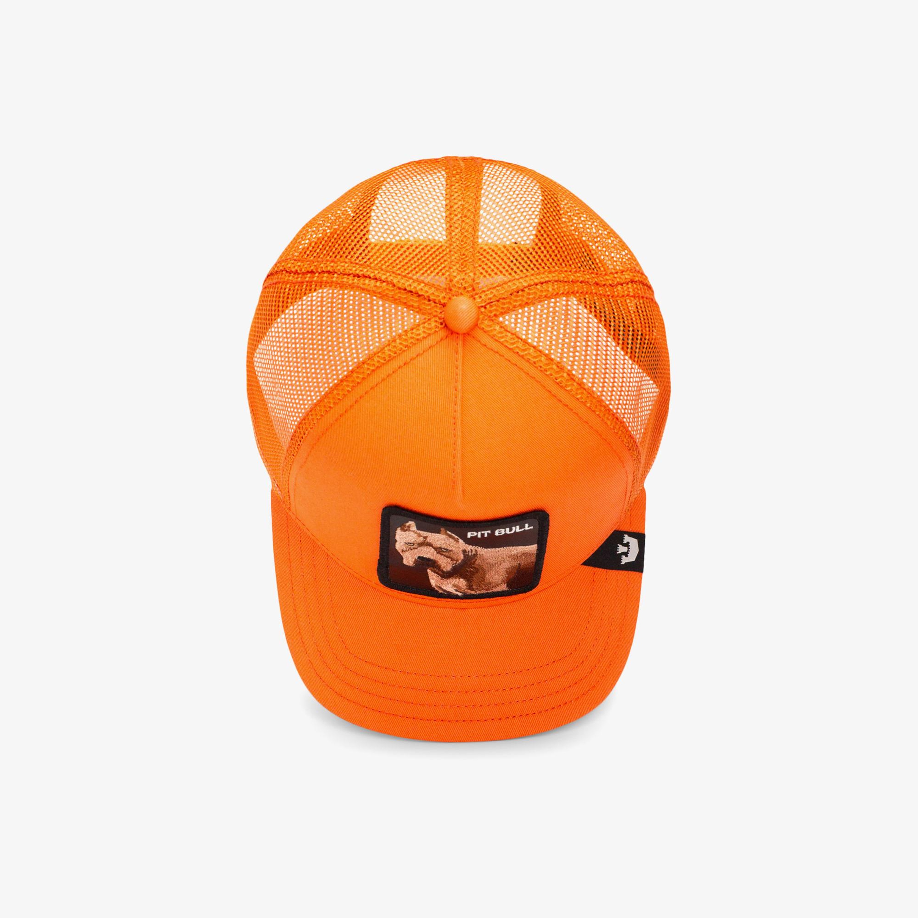 Goorin Bros The Dog Pitbull Unisex Turuncu Şapka