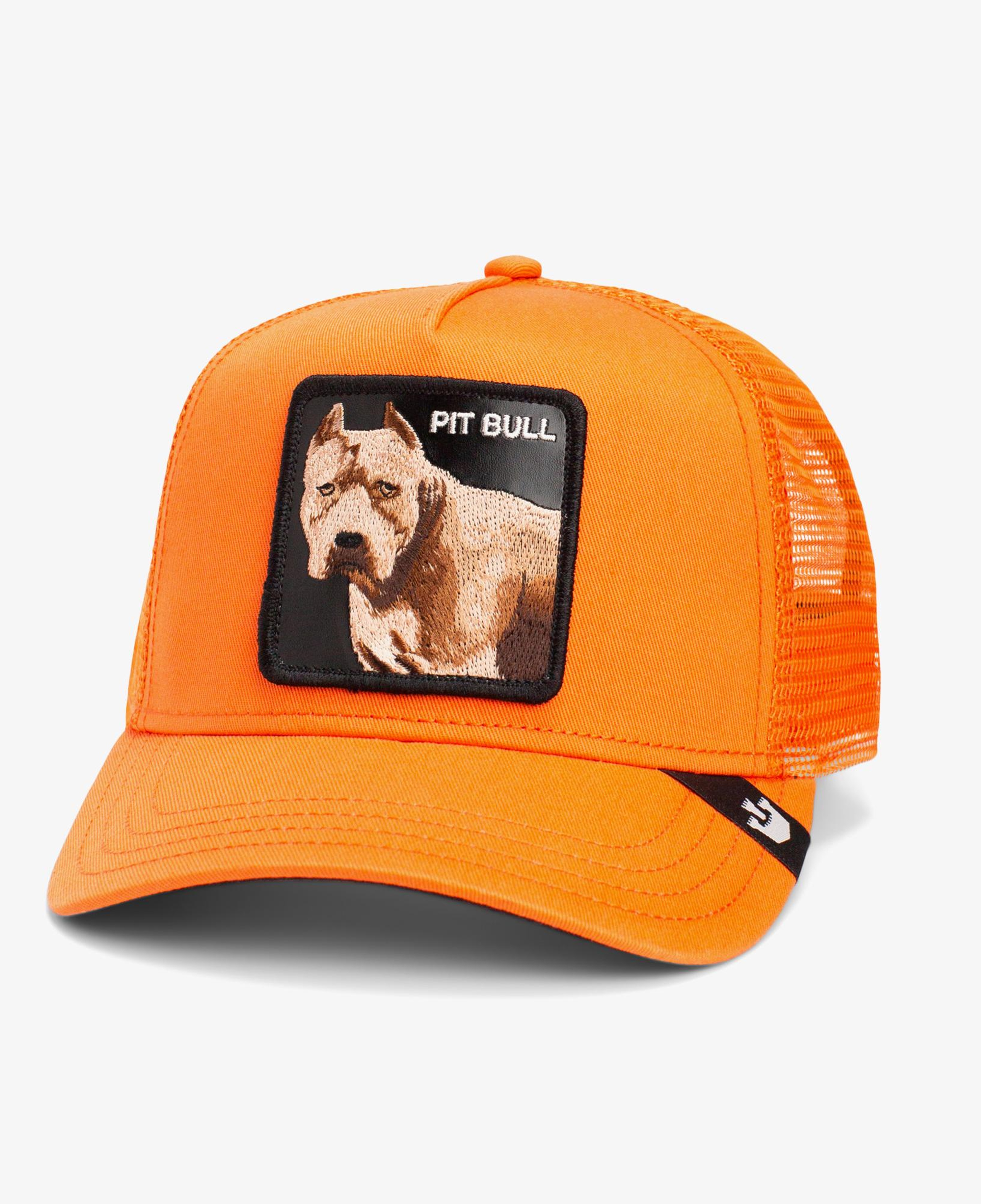 Goorin Bros The Dog Pitbull Unisex Turuncu Şapka
