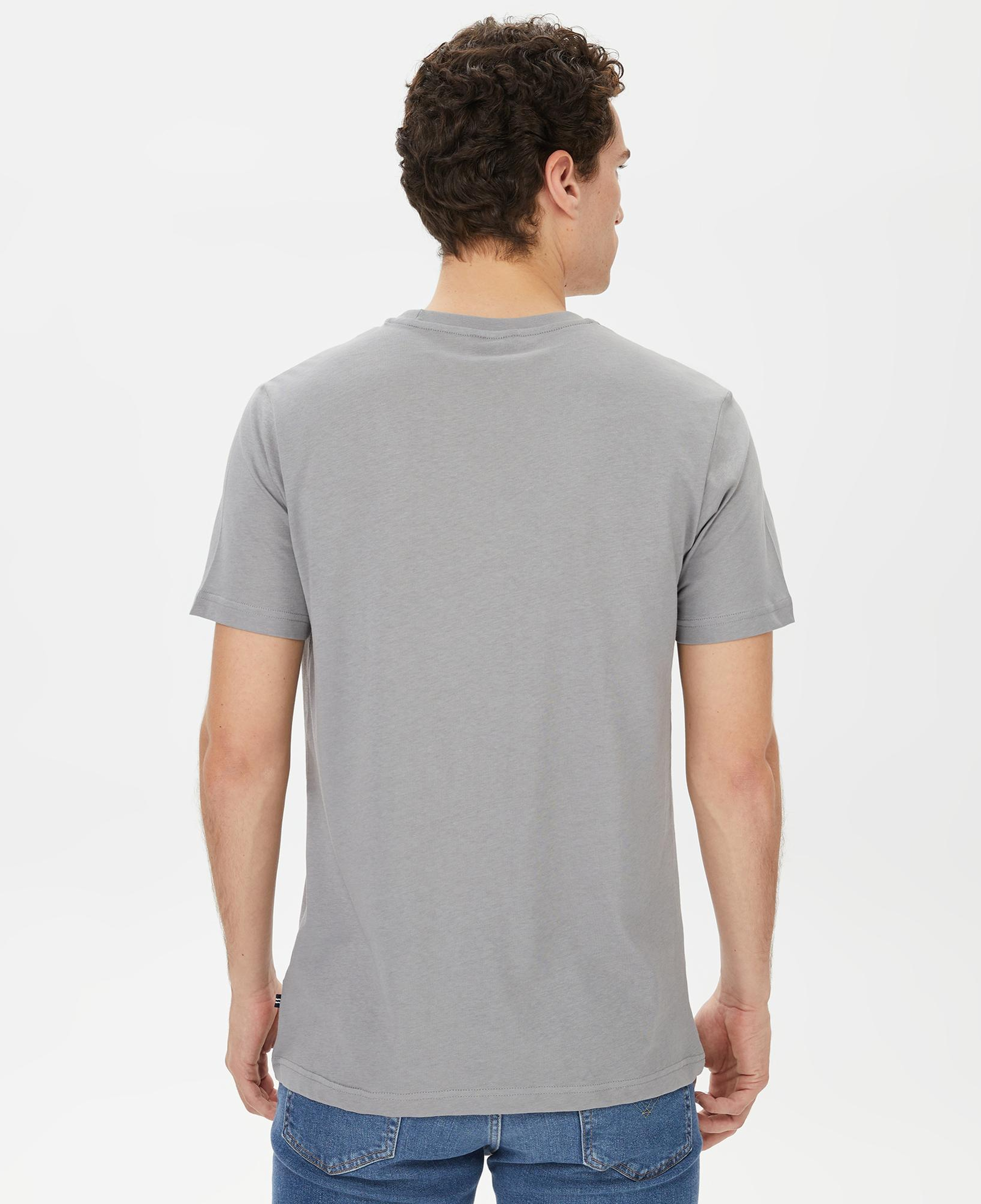 Nautica Erkek Gri Kısa Kollu Standart Fit T-Shirt