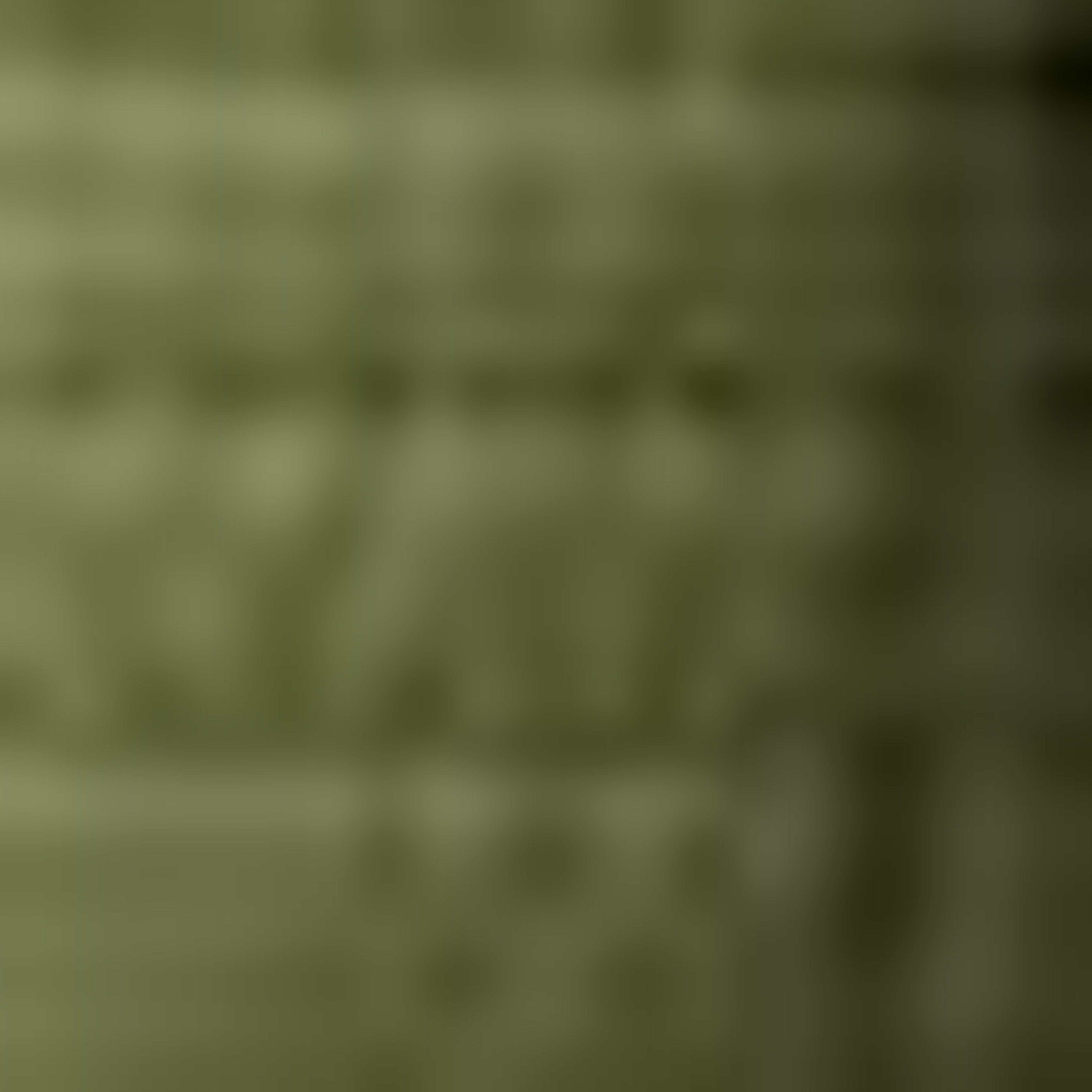 Nautica Erkek Yeşil Regular Fit Çift Taraflı Mont