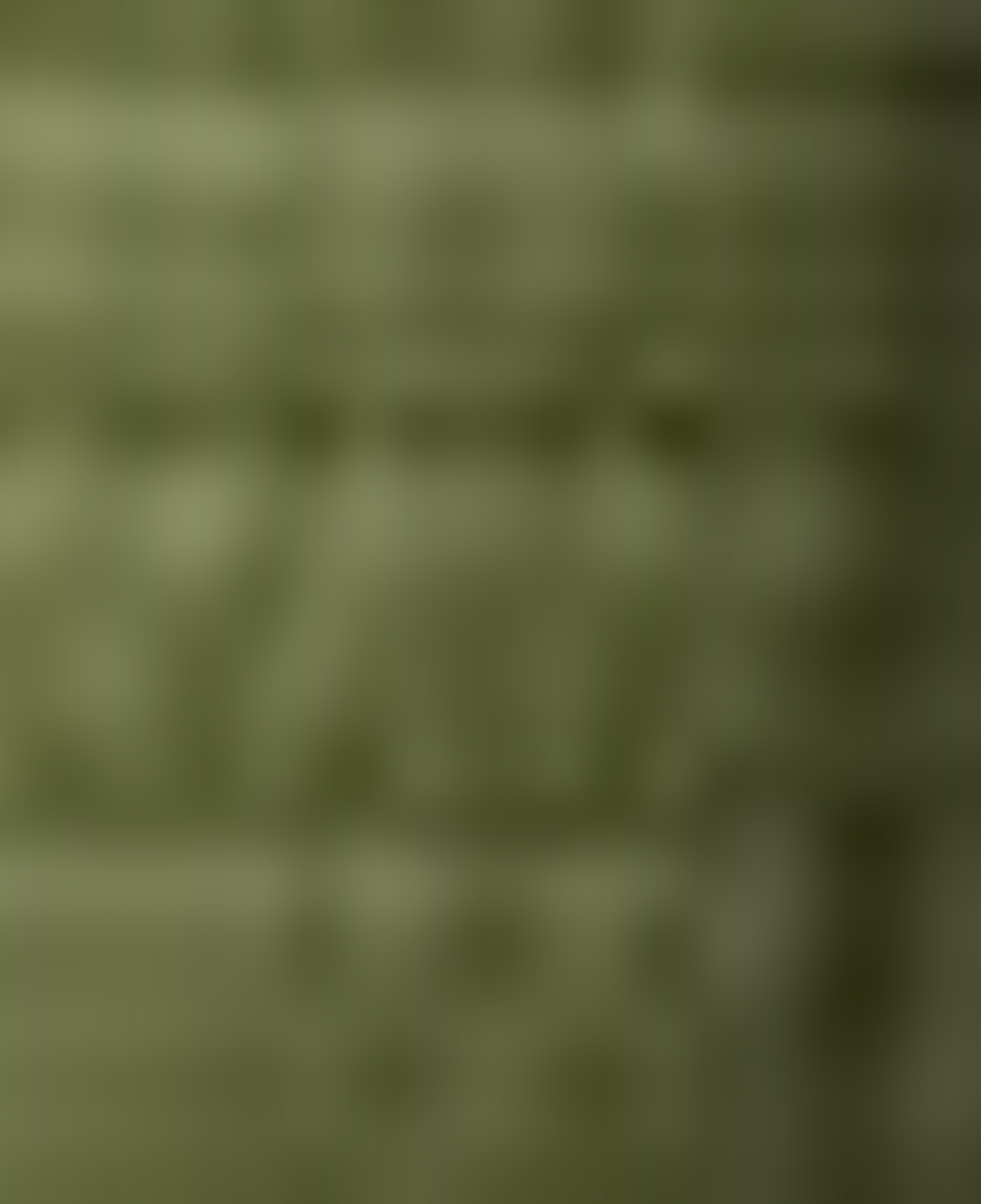 Nautica Erkek Yeşil Regular Fit Çift Taraflı Mont