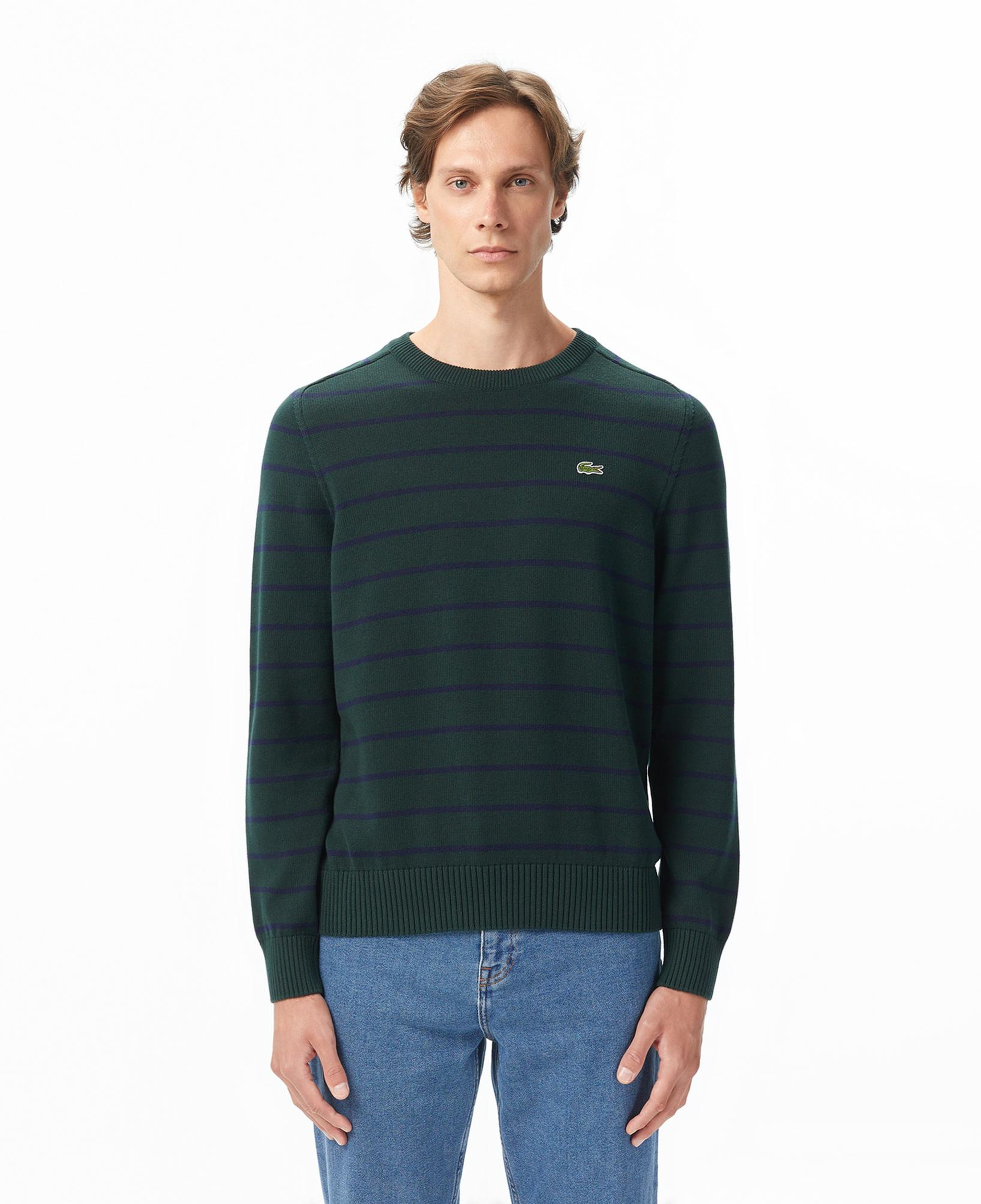 Lacoste Erkek Classic Fit Bisiklet Yaka Çizgili Yeşil Kazak