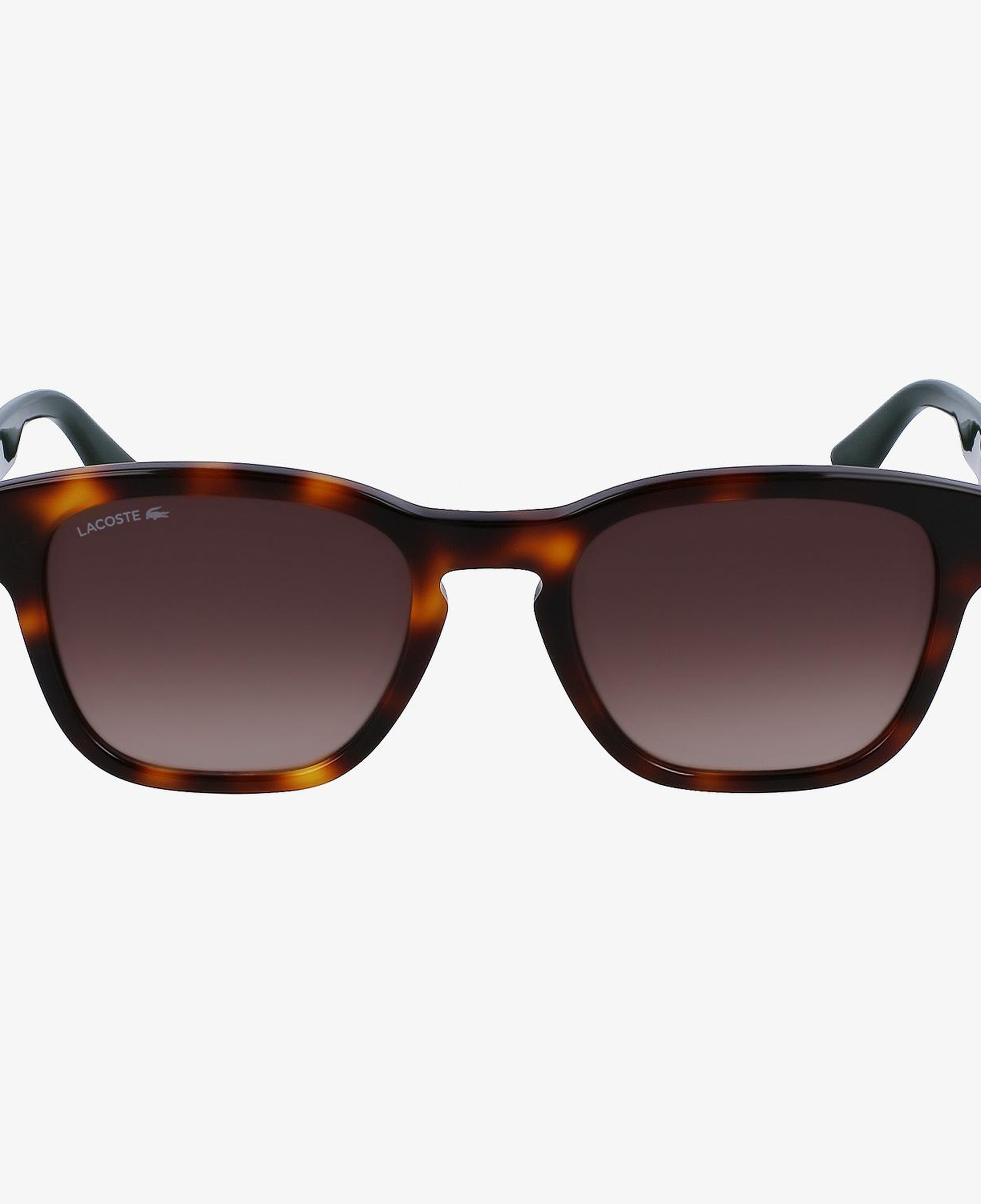 Lacoste Erkek Kahverengi Güneş Gözlüğü