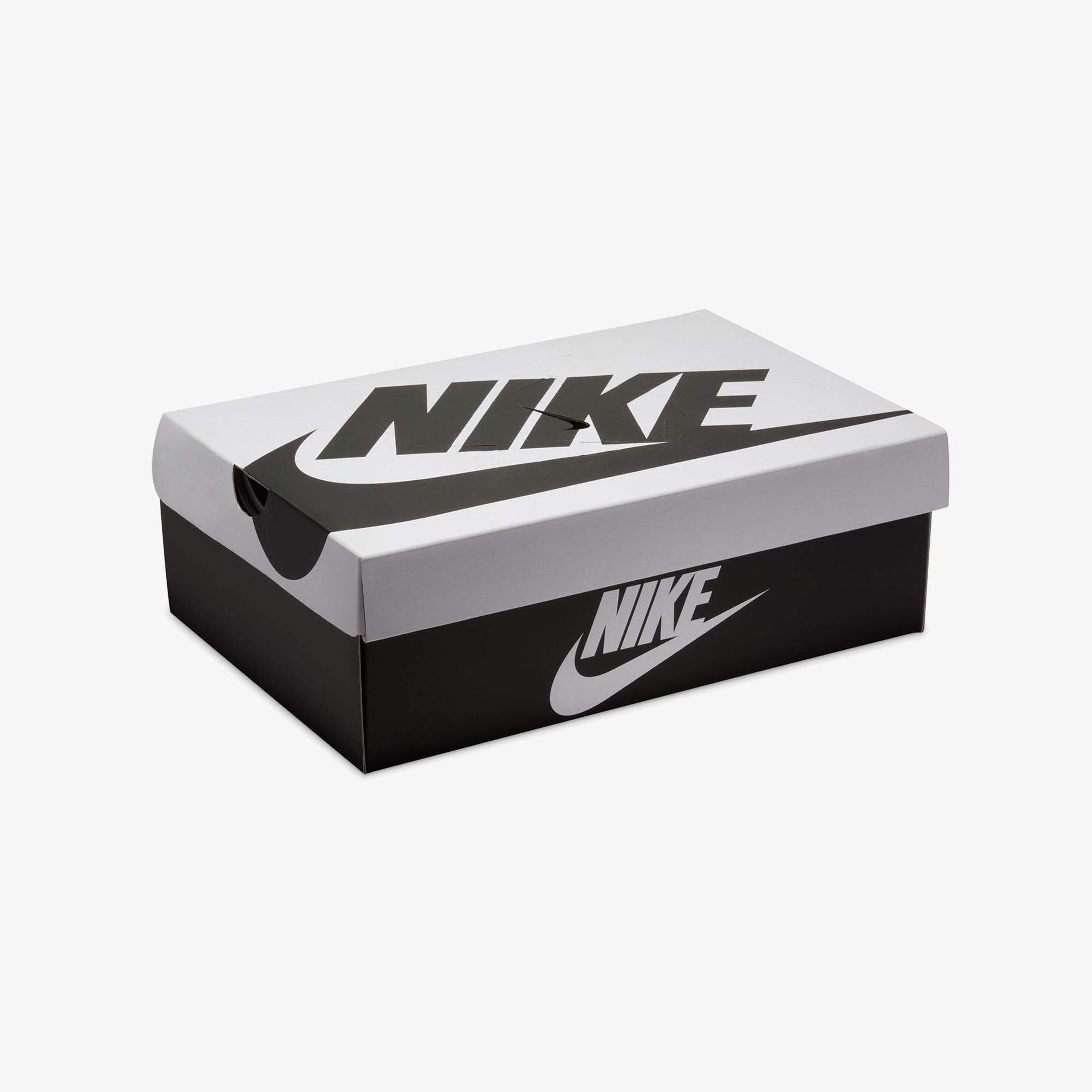 Nike Dunk Low Retro SE Erkek Mor Spor Ayakkabı