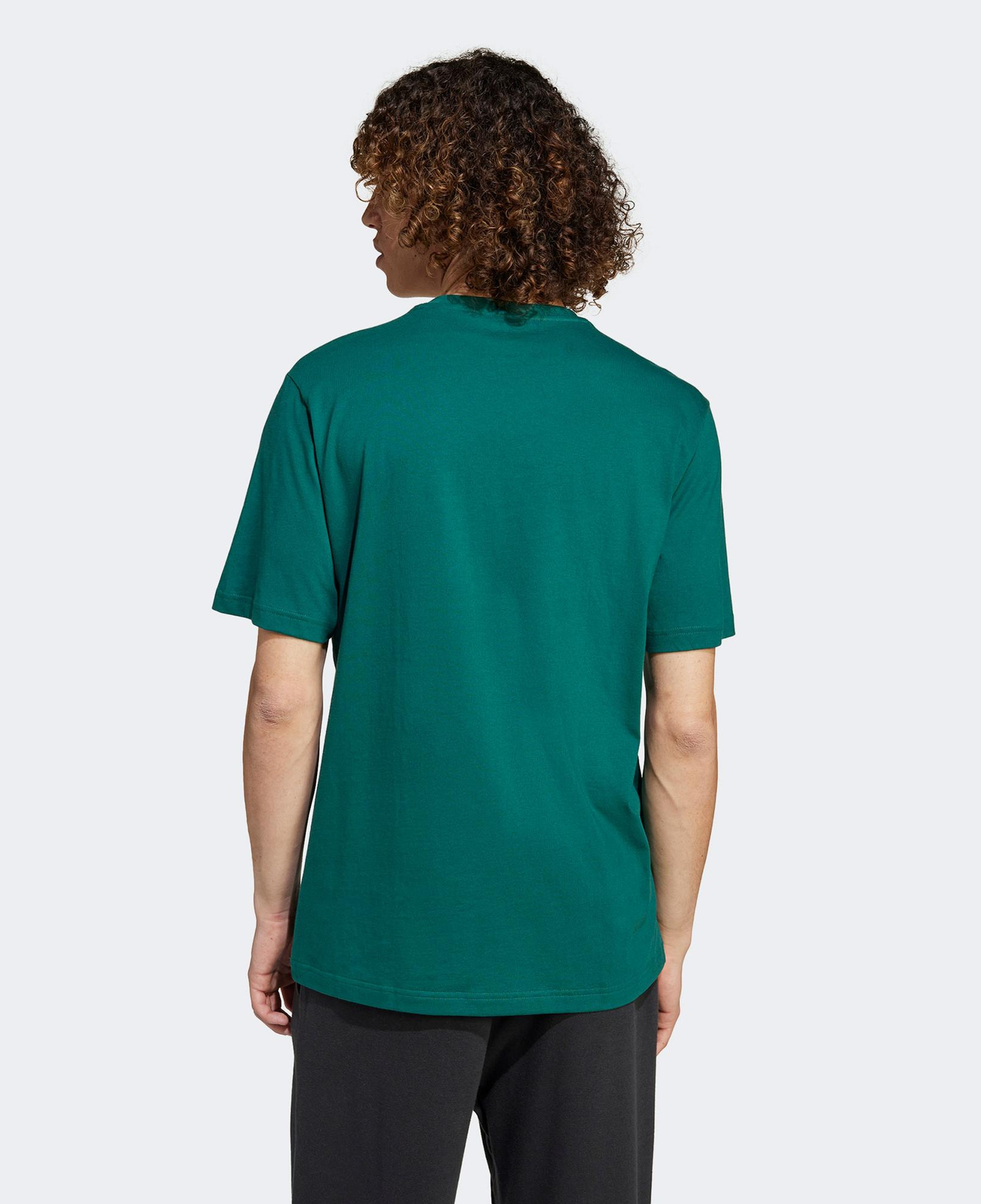 adidas Earth Day Graphic Erkek Yeşil T-Shirt