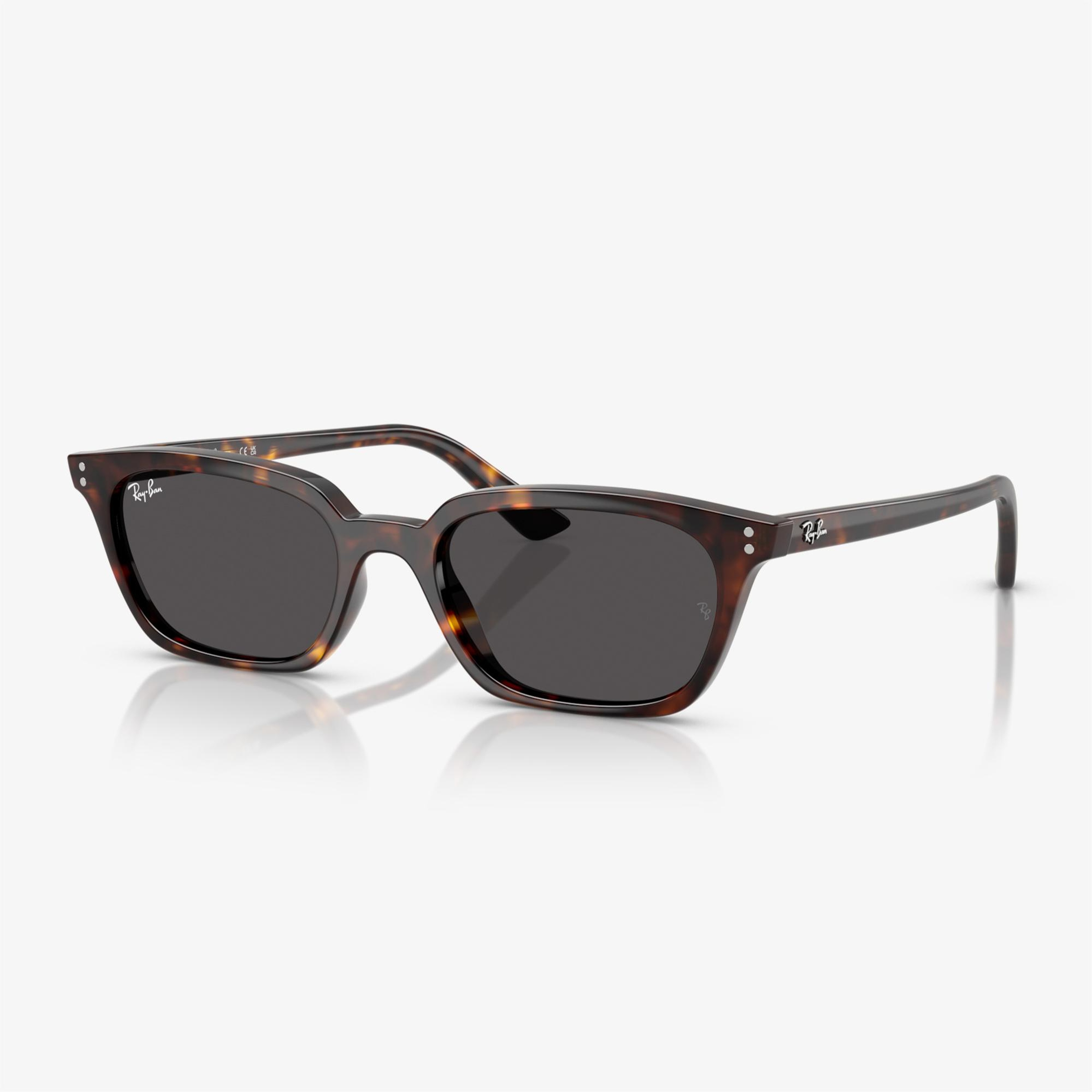Ray-Ban RB4456 Unisex Kahverengi Güneş Gözlüğü