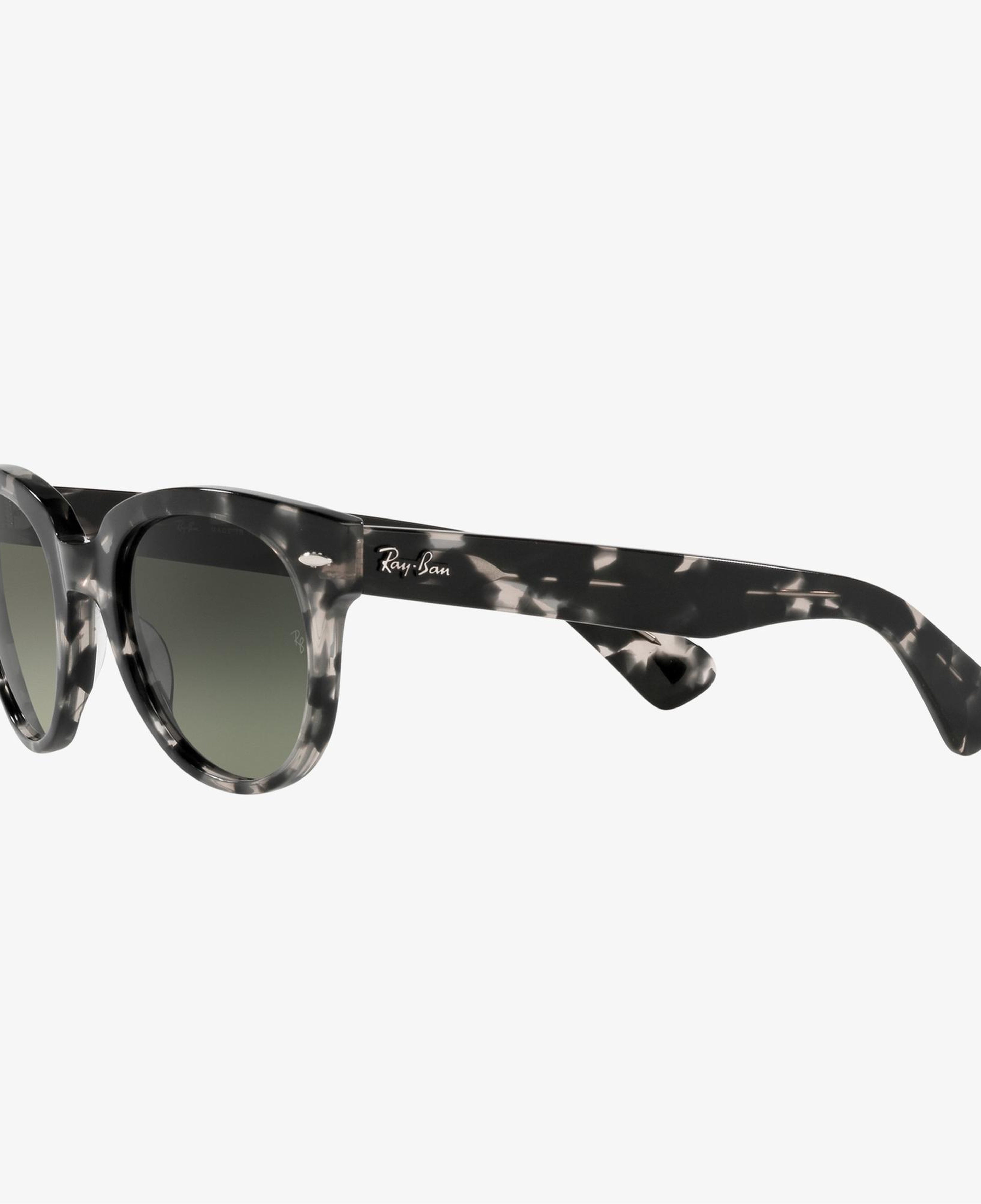 Ray-Ban 0RB2199 Unisex Siyah Havana Güneş Gözlüğü