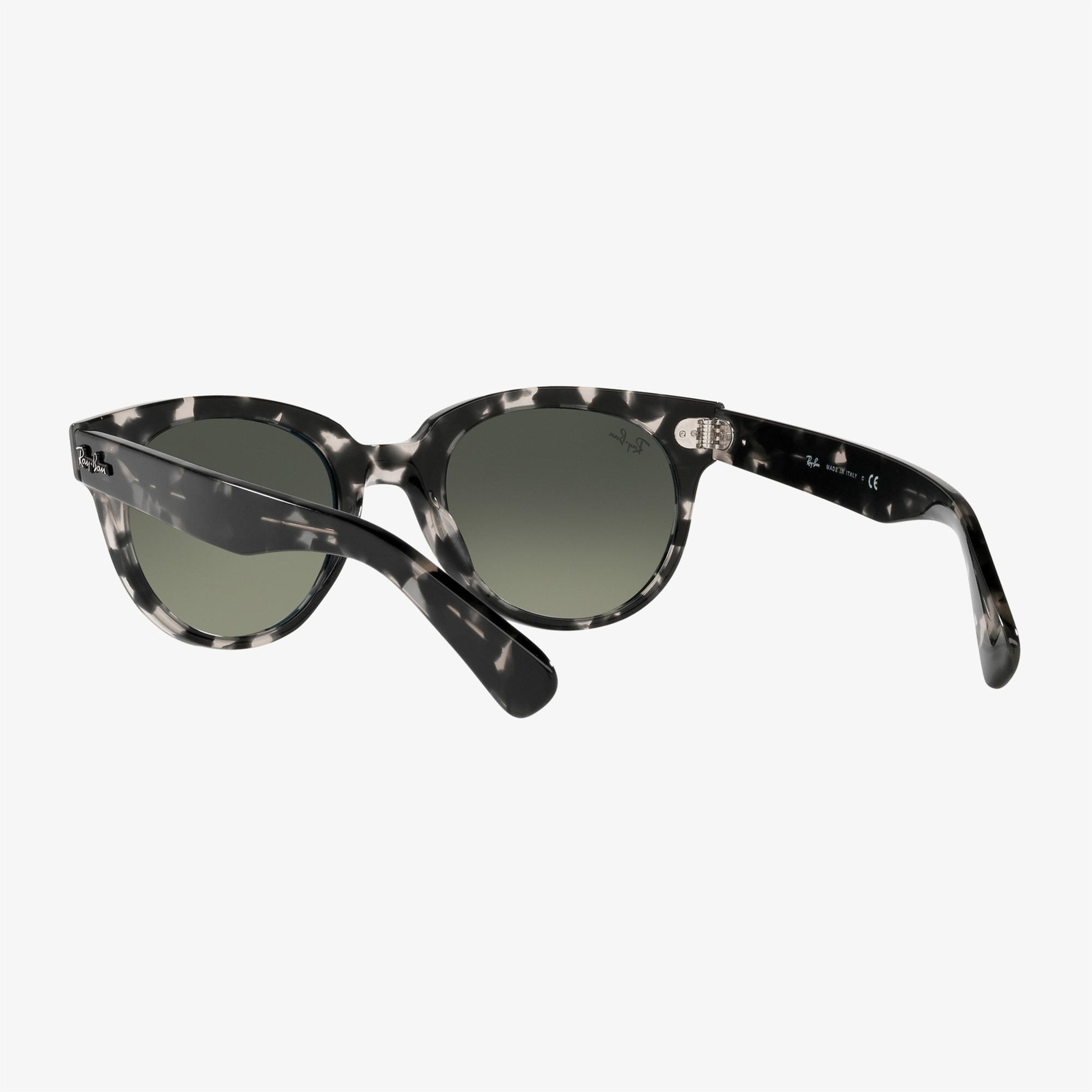 Ray-Ban 0RB2199 Unisex Siyah Havana Güneş Gözlüğü