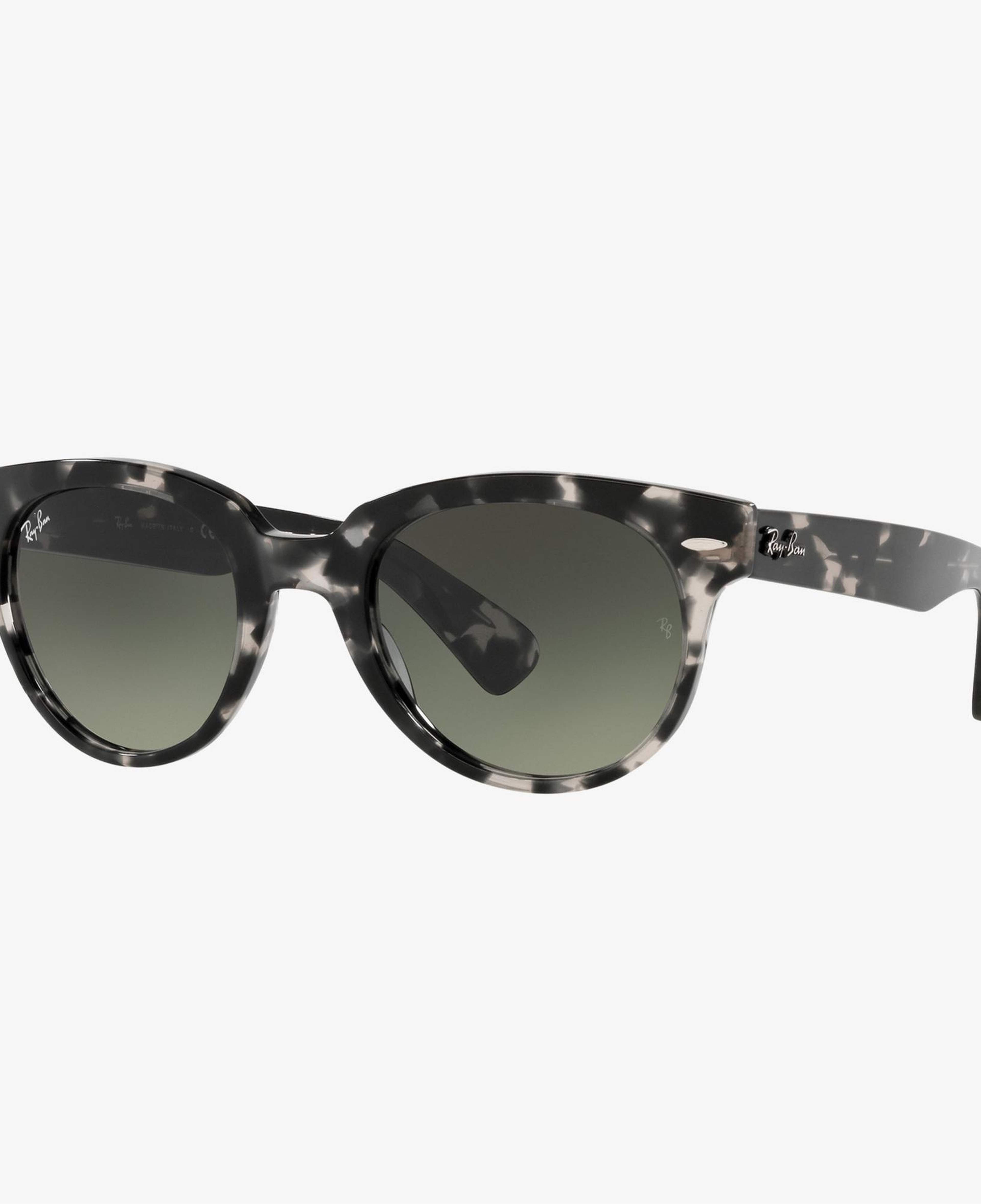 Ray-Ban 0RB2199 Unisex Siyah Havana Güneş Gözlüğü
