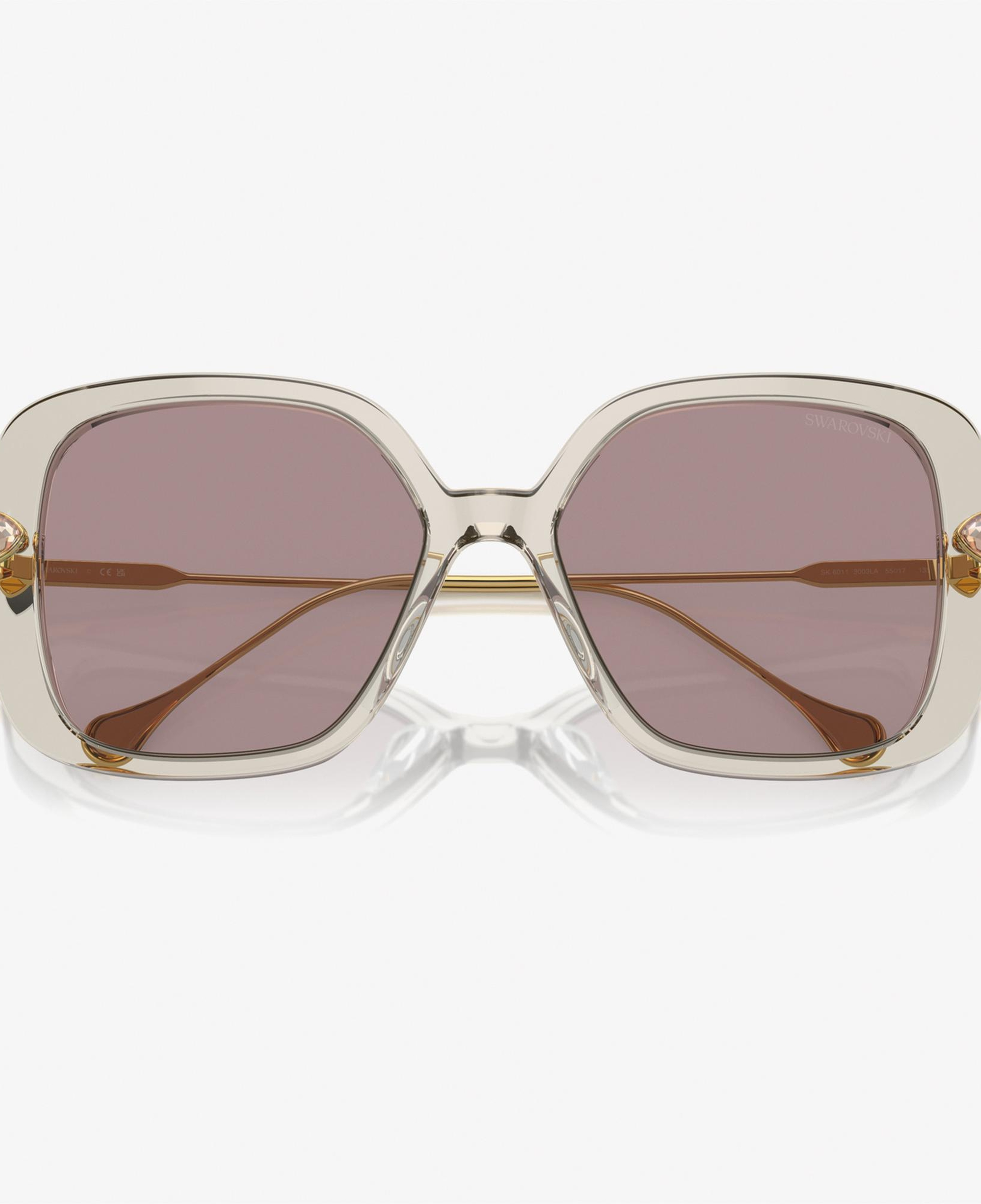 Swarovski 0SK6011 Acetate Kadın Kahverengi Güneş Gözlüğü