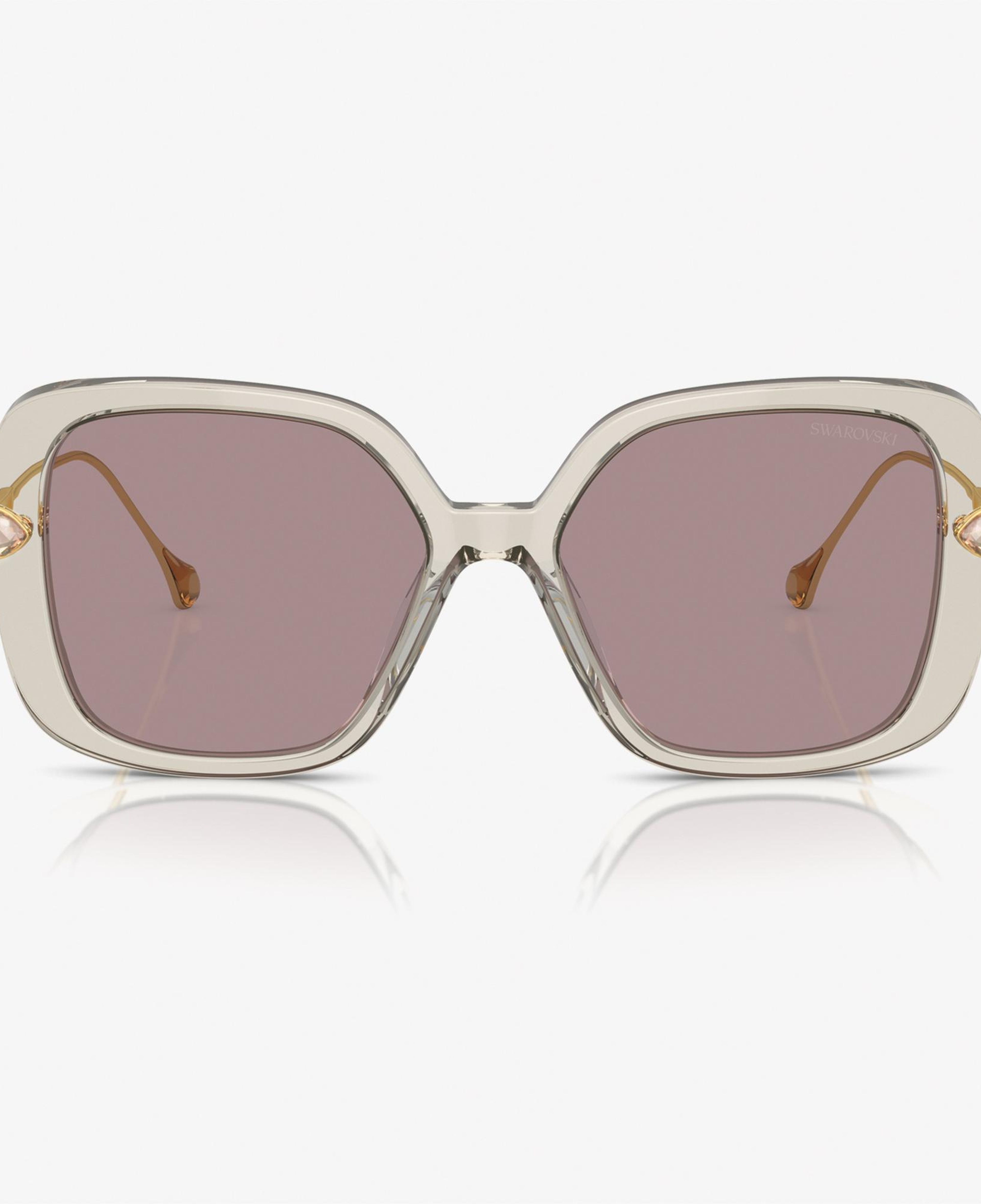 Swarovski 0SK6011 Acetate Kadın Kahverengi Güneş Gözlüğü