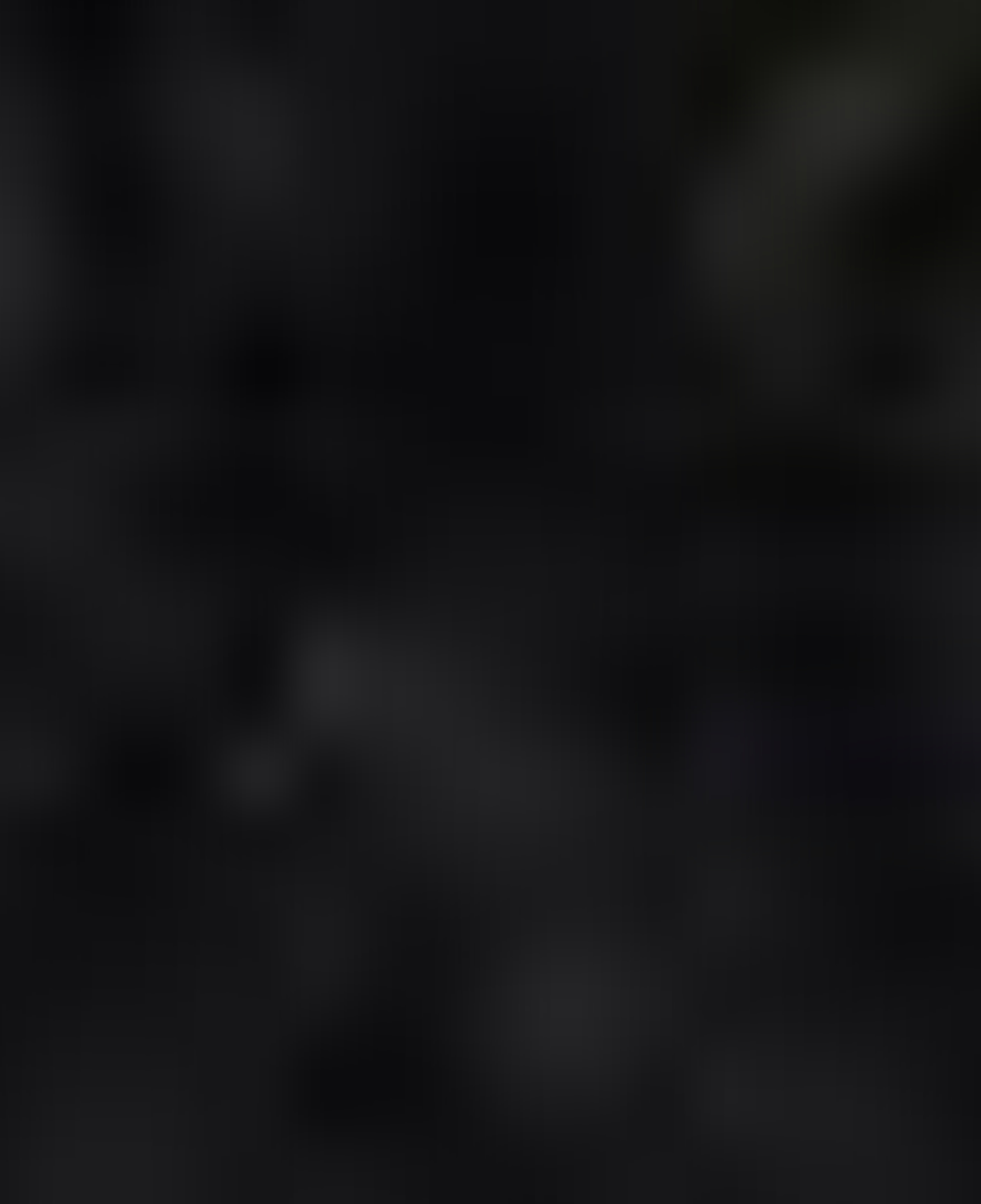 Nautica Erkek Siyah Regular Fit Mont