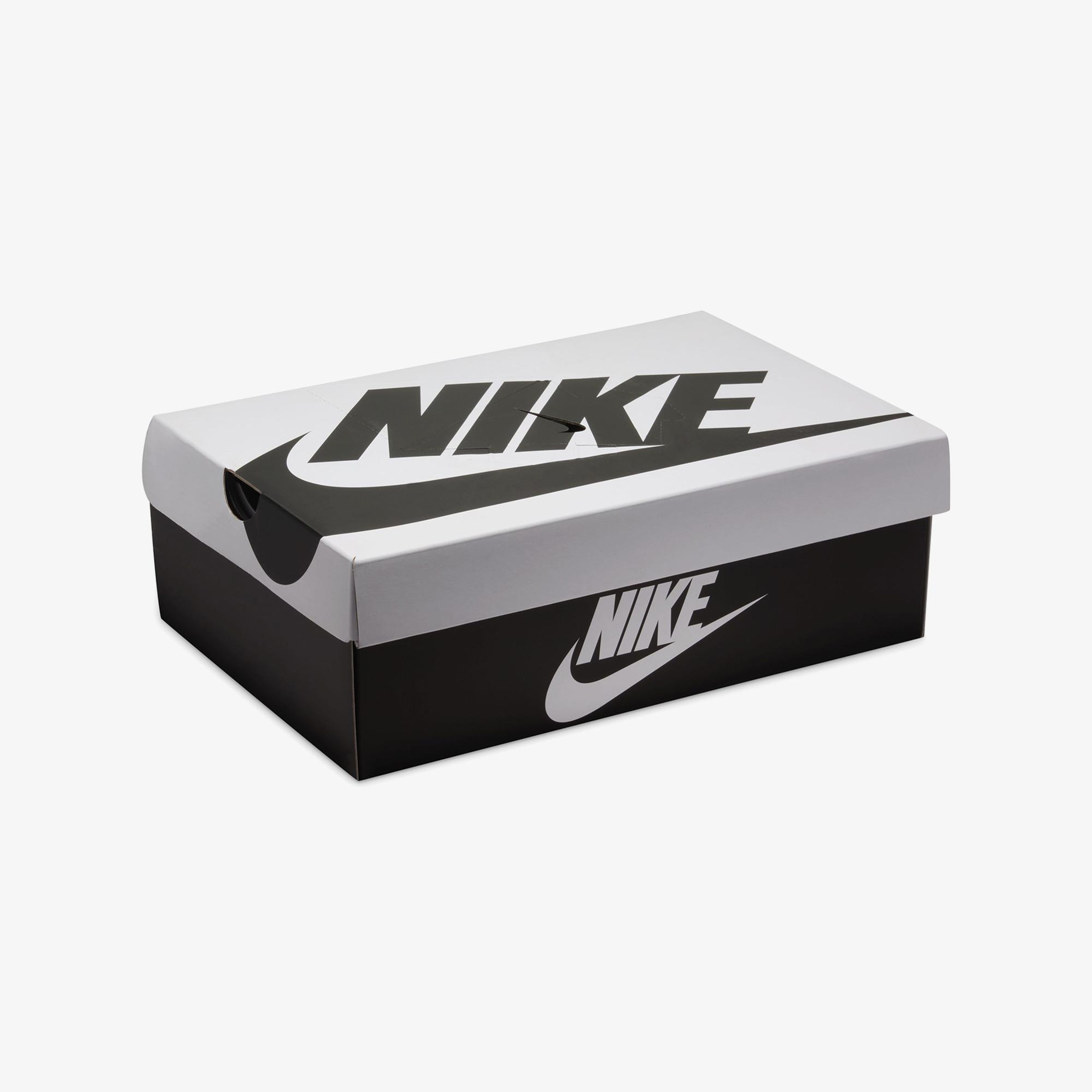 Nike Dunk Low Retro SE Erkek Siyah Spor Ayakkabı