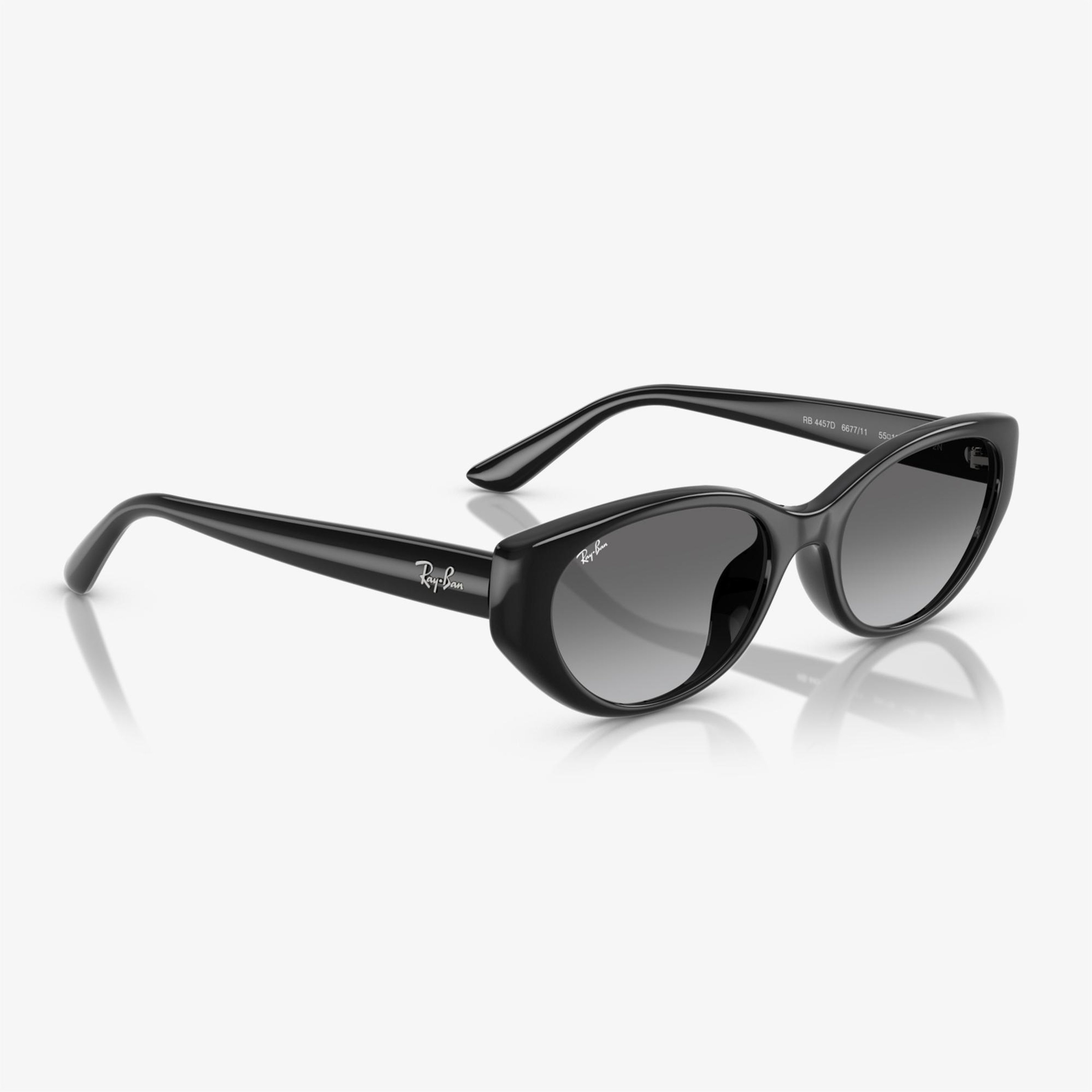 Ray-Ban RB4457D Unisex Siyah Güneş Gözlüğü
