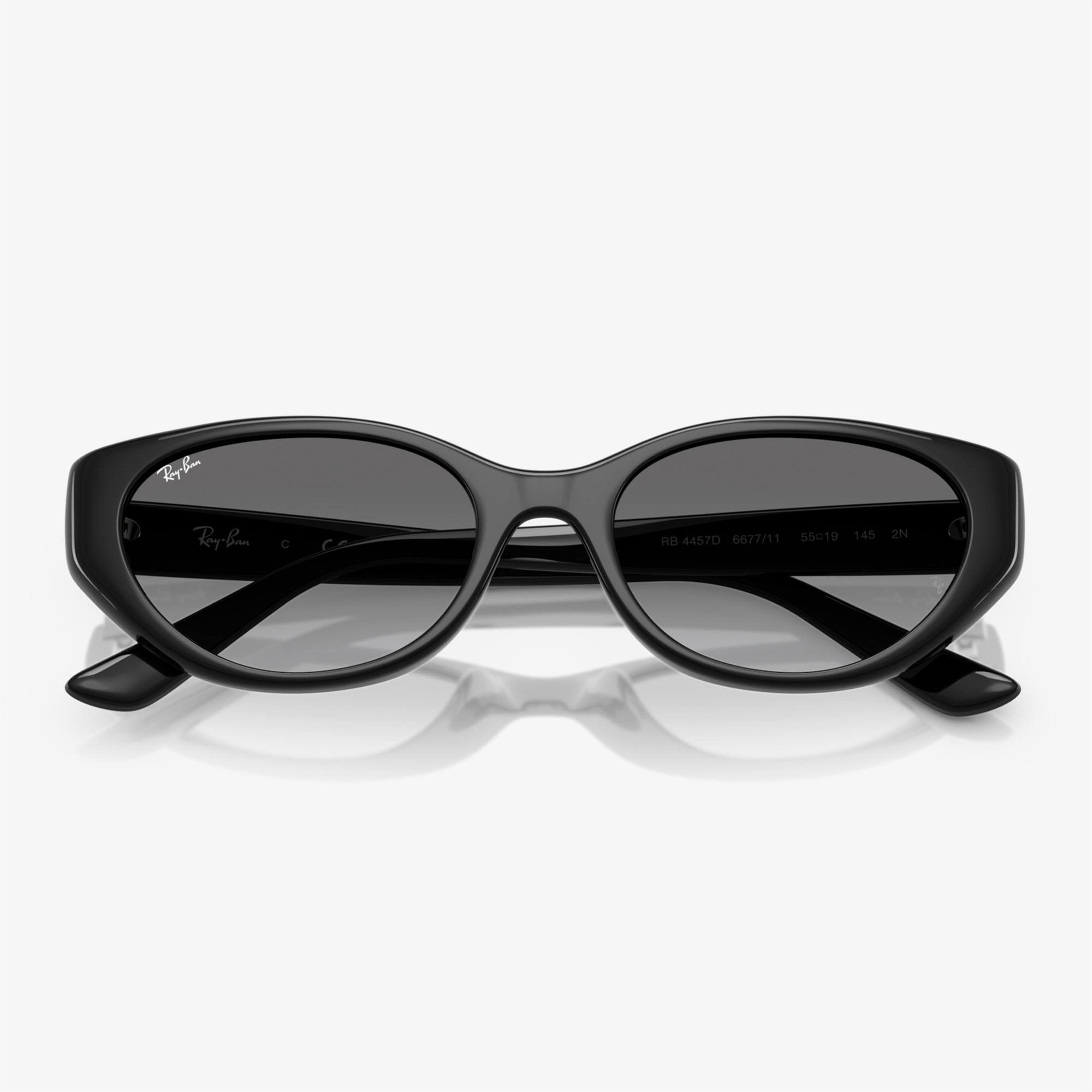 Ray-Ban RB4457D Unisex Siyah Güneş Gözlüğü