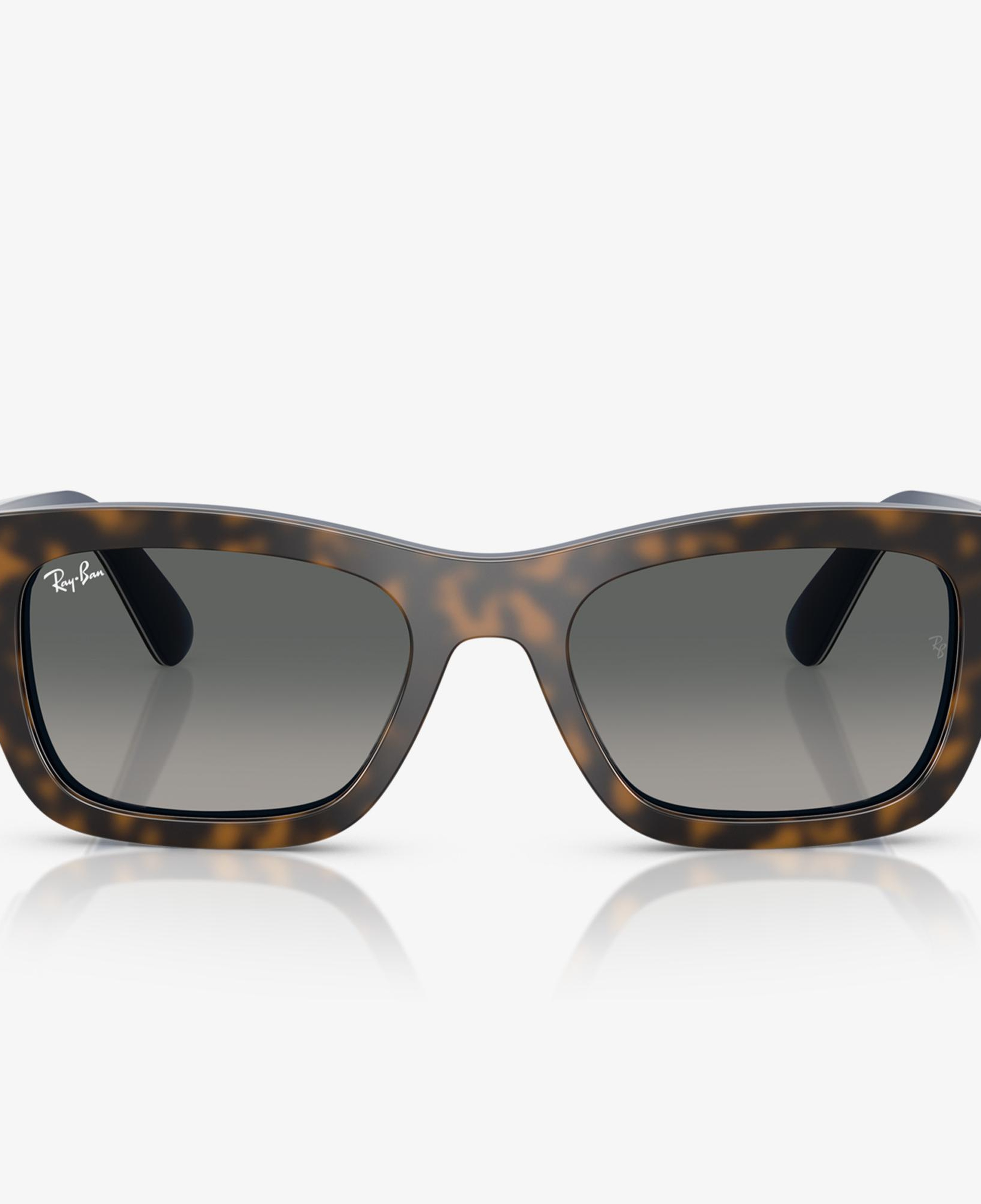 Ray-Ban Joseph RB7683S Unisex Kahverengi Güneş Gözlüğü
