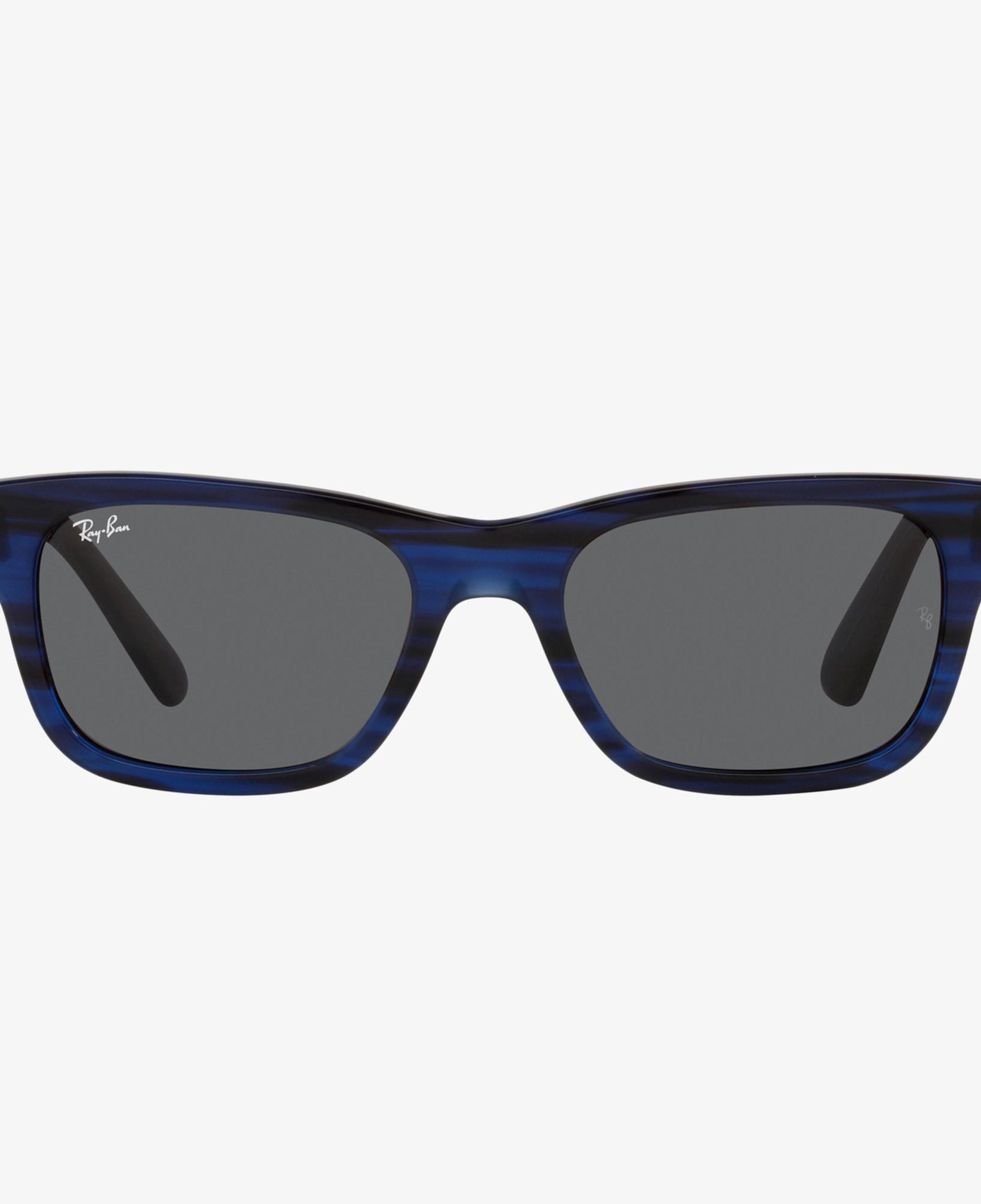 Ray-Ban 0RB2283 Erkek Striped Mavi Güneş Gözlüğü