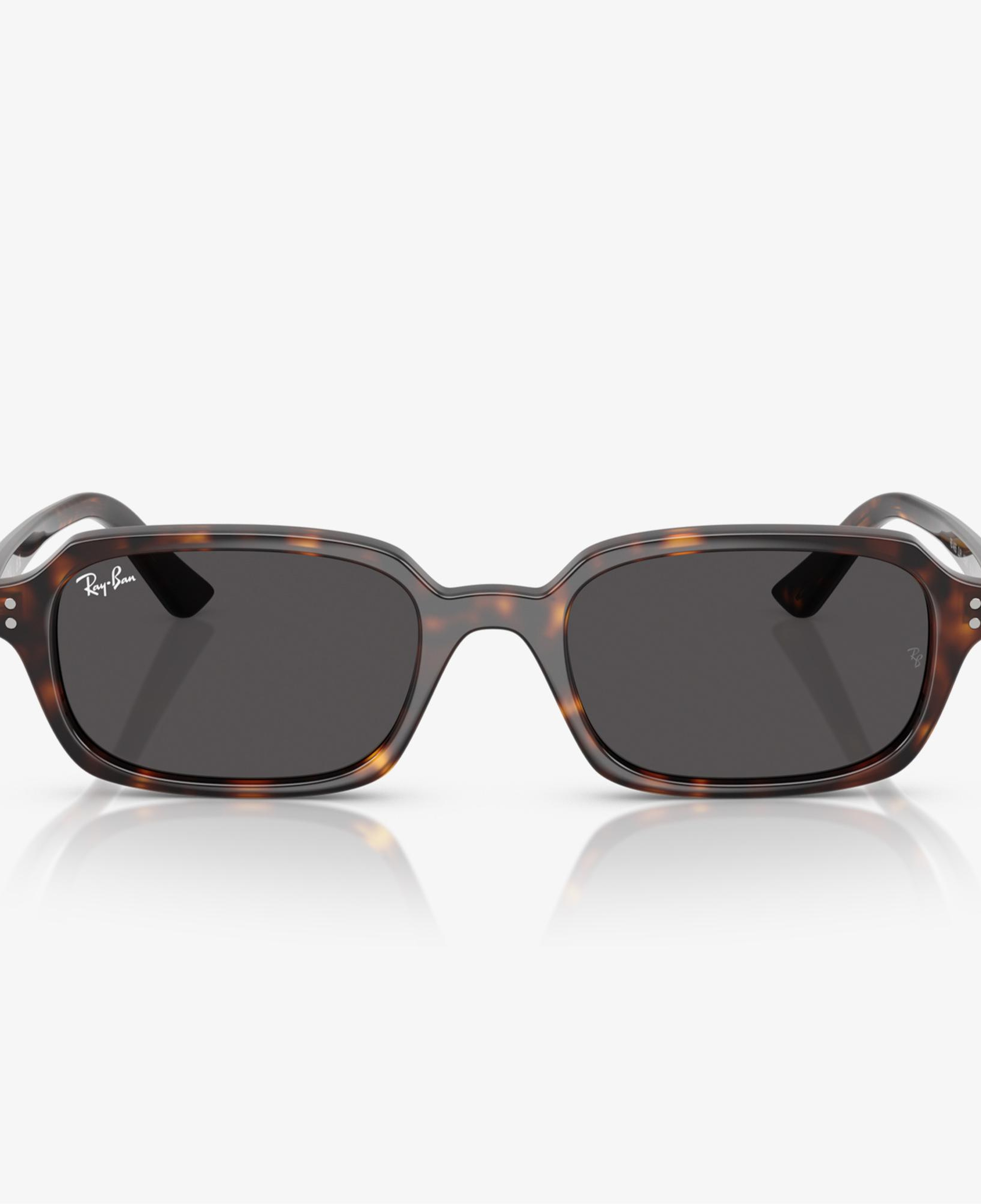 Ray-Ban RB4455 Unisex Kahverengi Güneş Gözlüğü