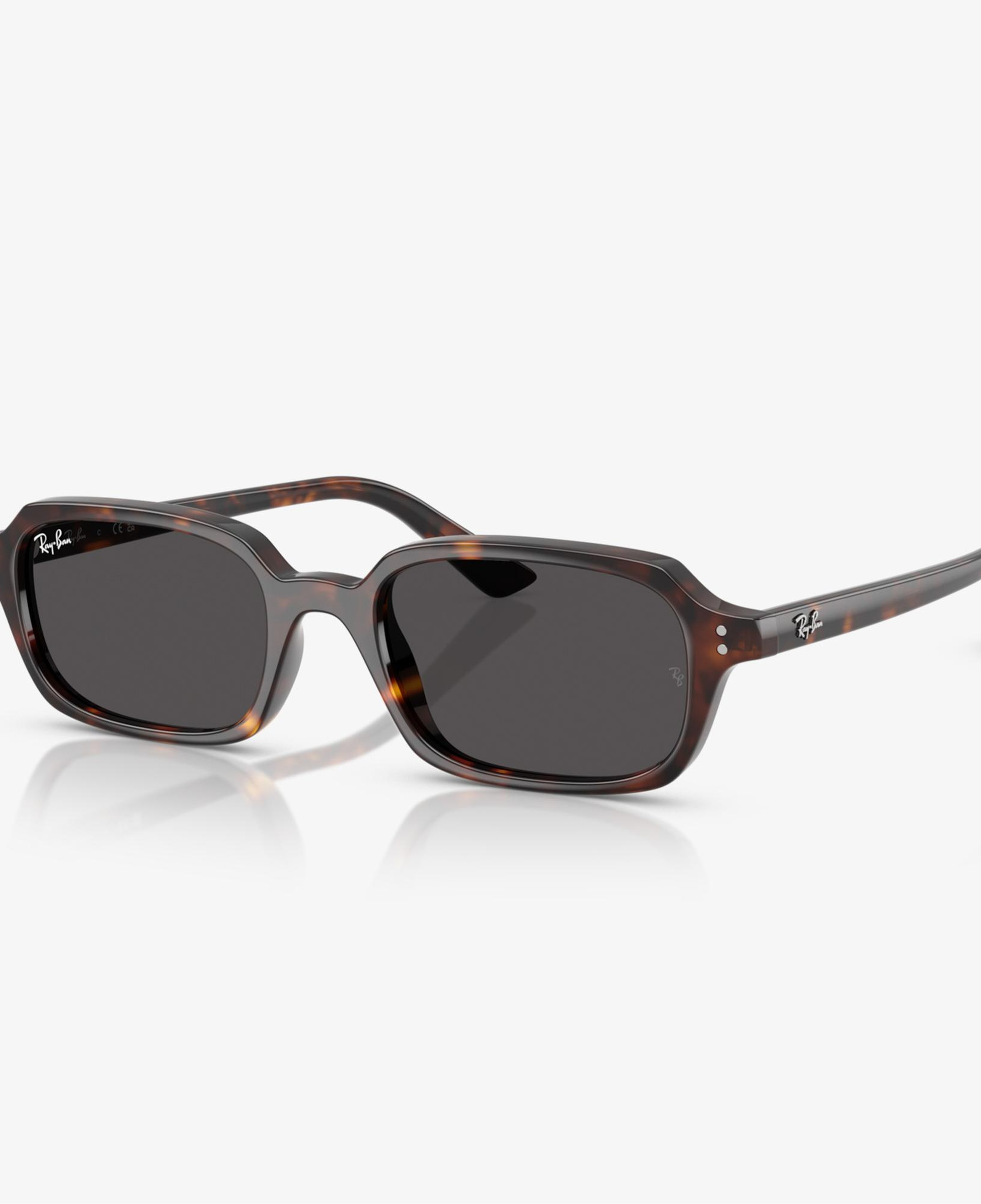 Ray-Ban RB4455 Unisex Kahverengi Güneş Gözlüğü