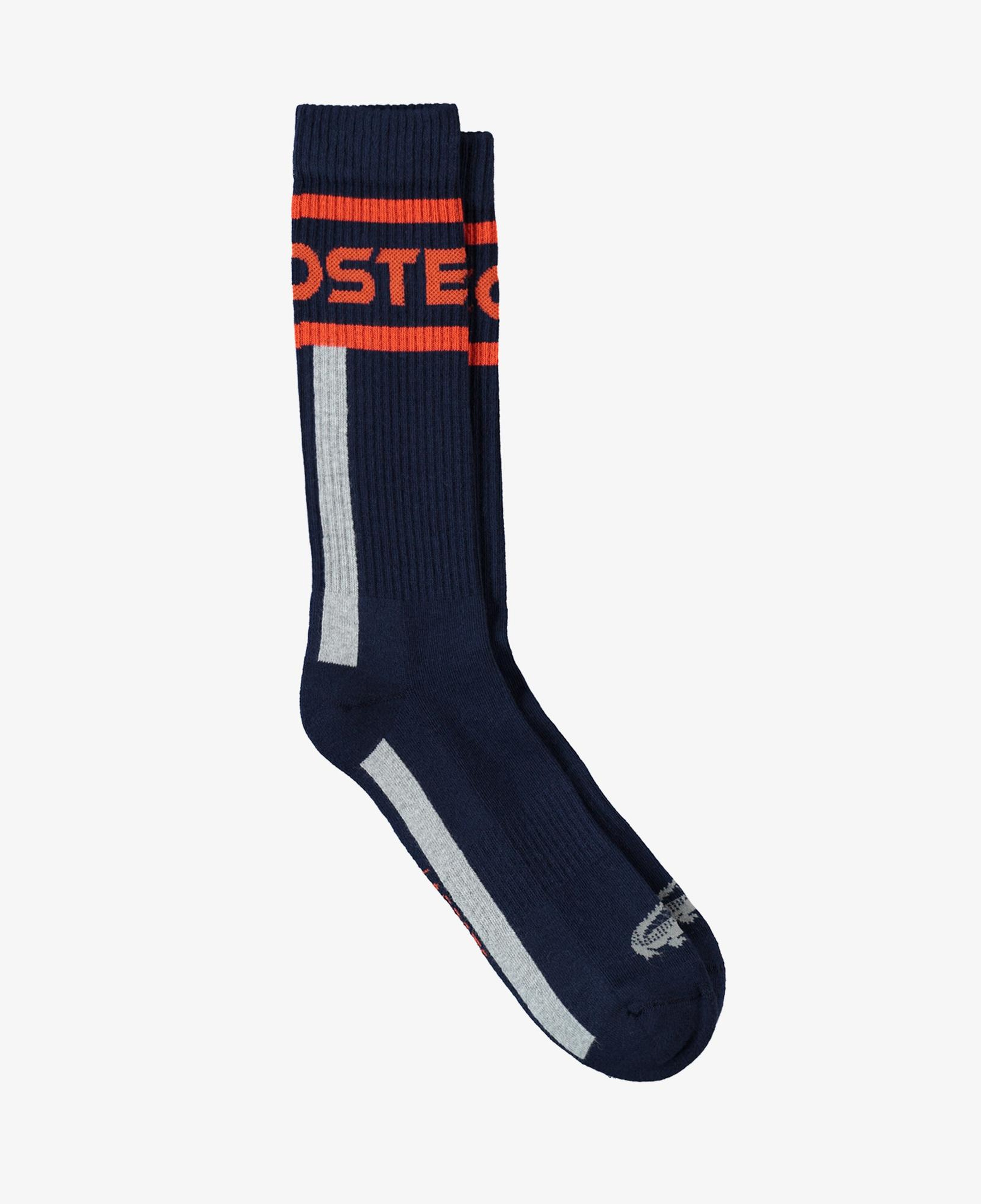 Lacoste Erkek Baskılı Lacivert Çorap
