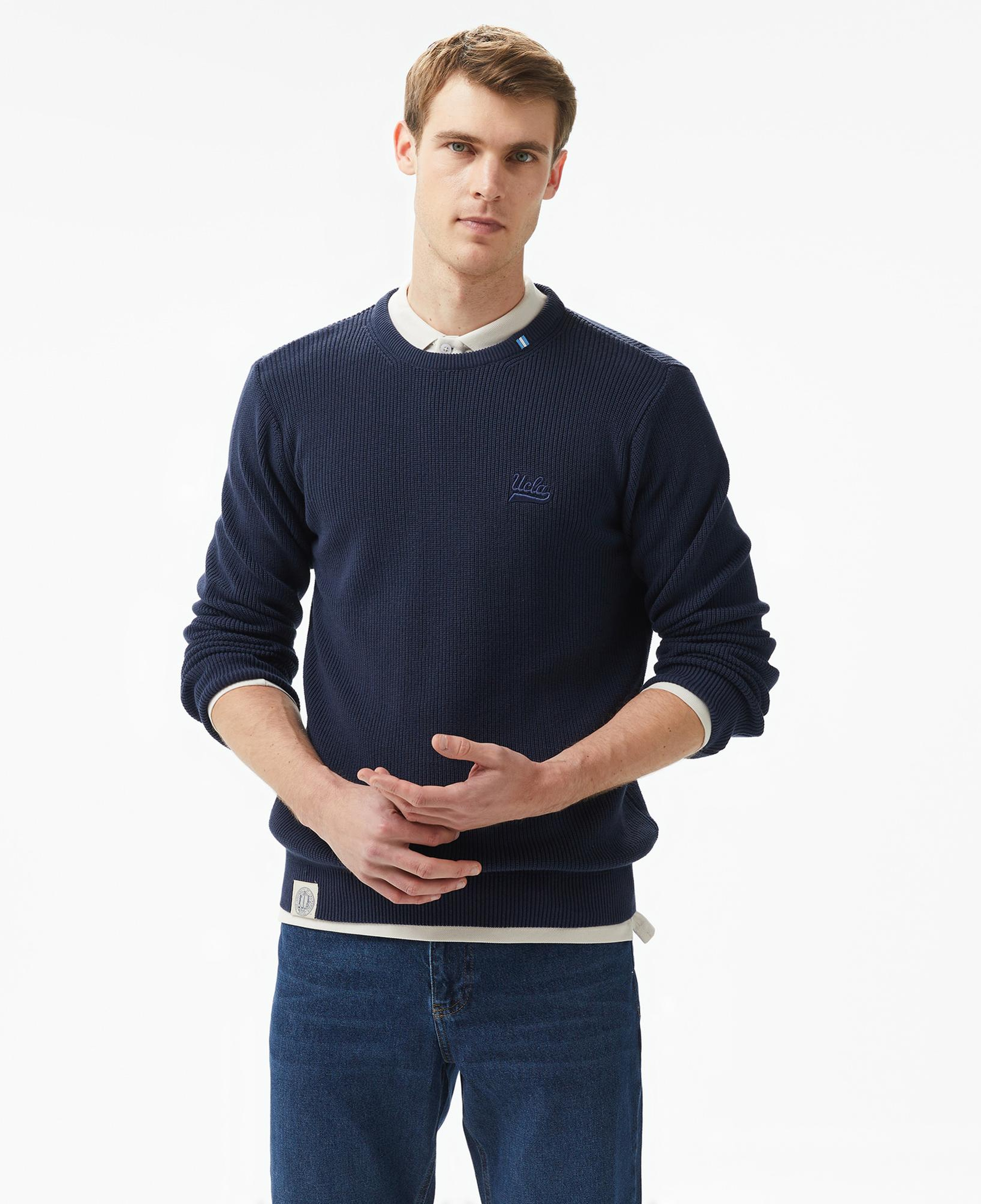 Ucla Emory Nakışlı Erkek Lacivert Bisiklet Yaka Triko