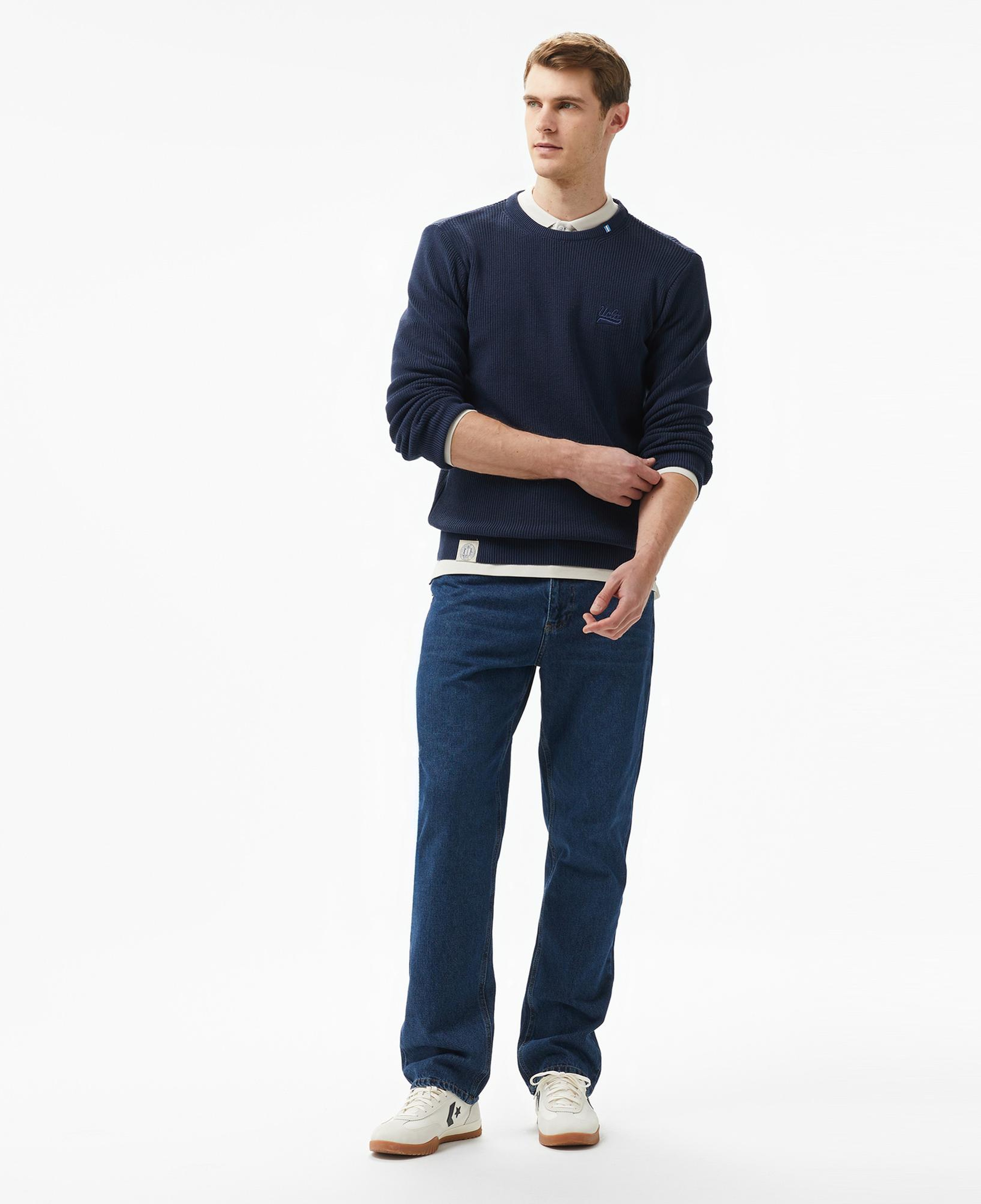 Ucla Emory Nakışlı Erkek Lacivert Bisiklet Yaka Triko