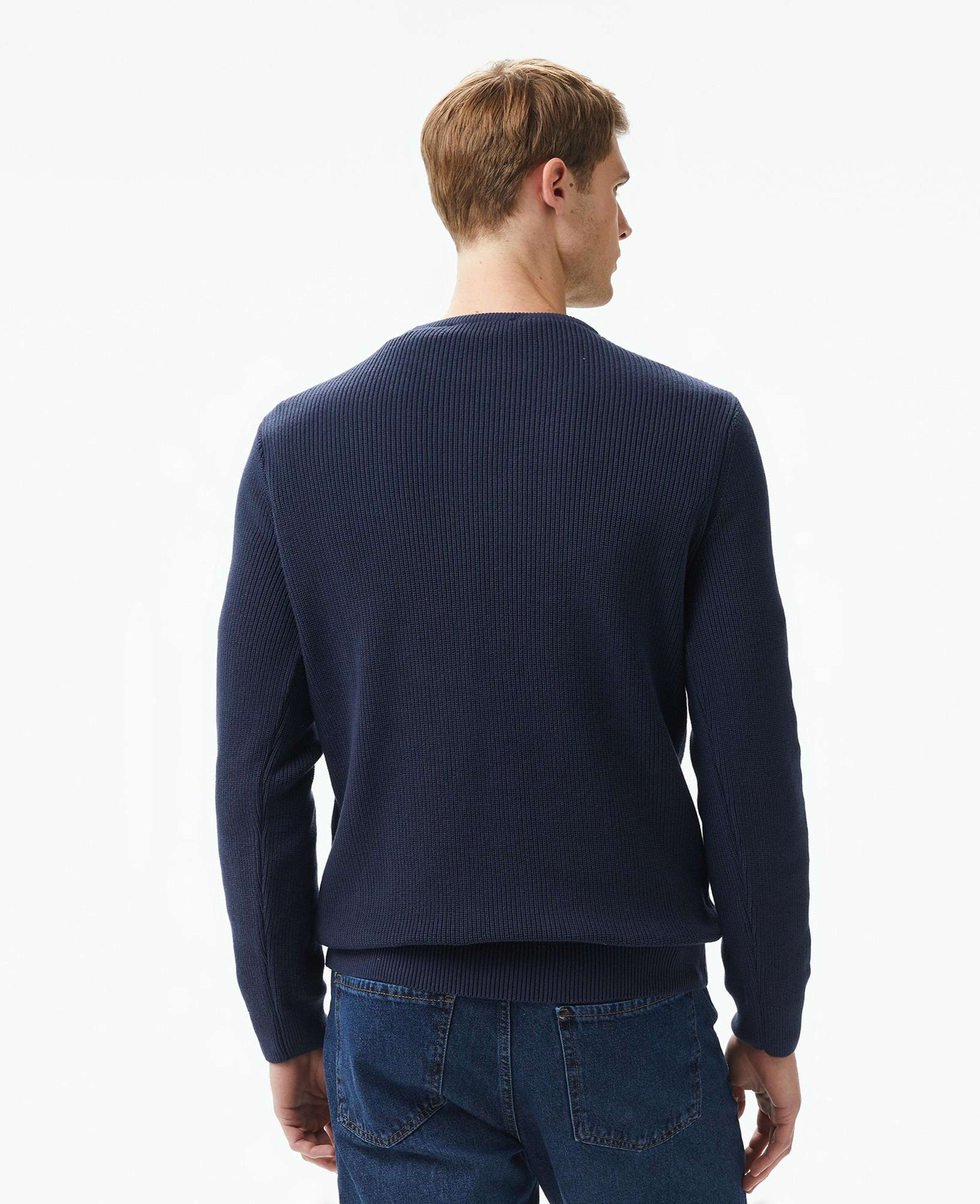 Ucla Emory Nakışlı Erkek Lacivert Bisiklet Yaka Triko