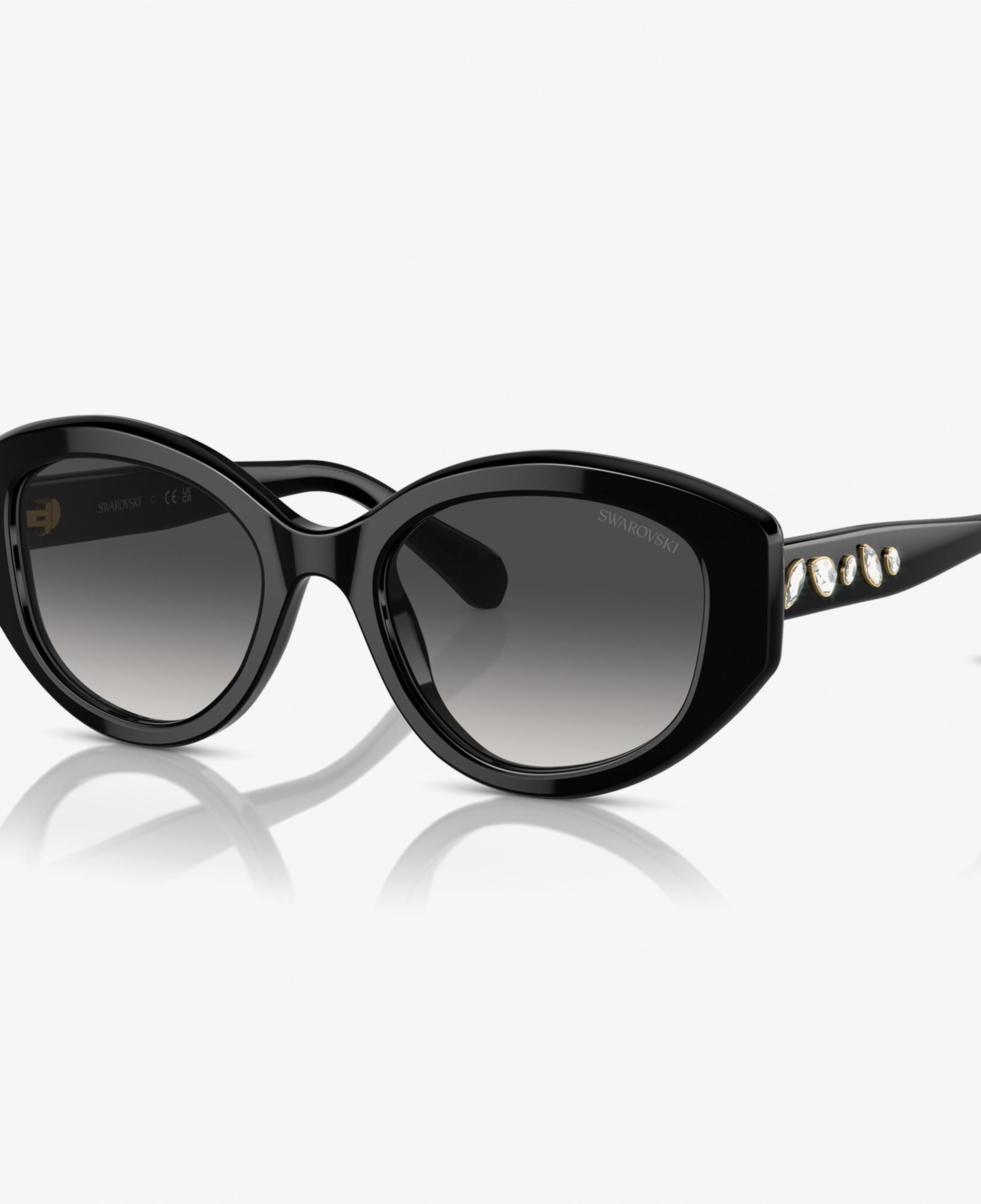 Swarovski 0SK6005 Acetate Kadın Siyah Güneş Gözlüğü