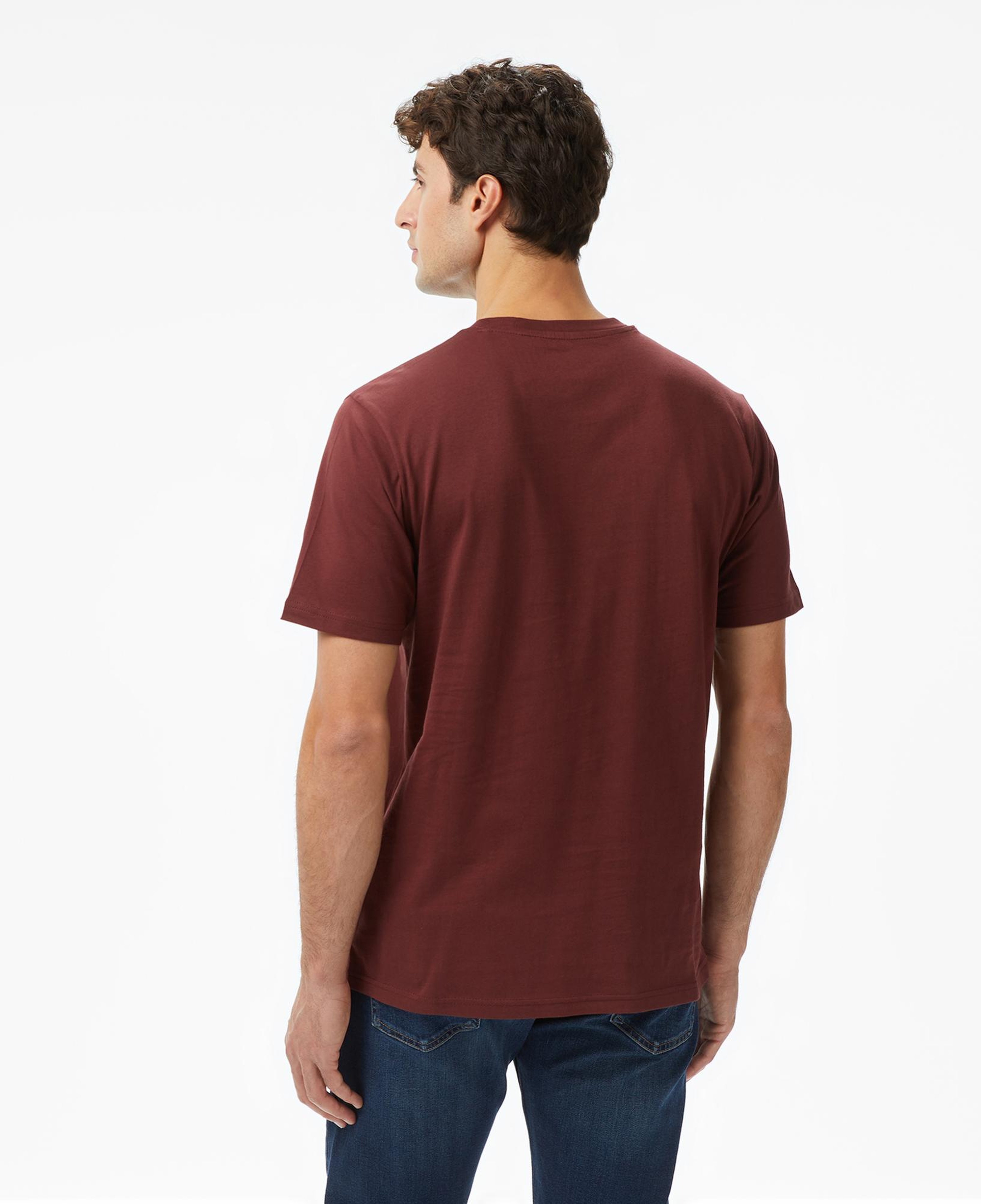 Dickies Mapleton Erkek Kahverengi T-Shirt