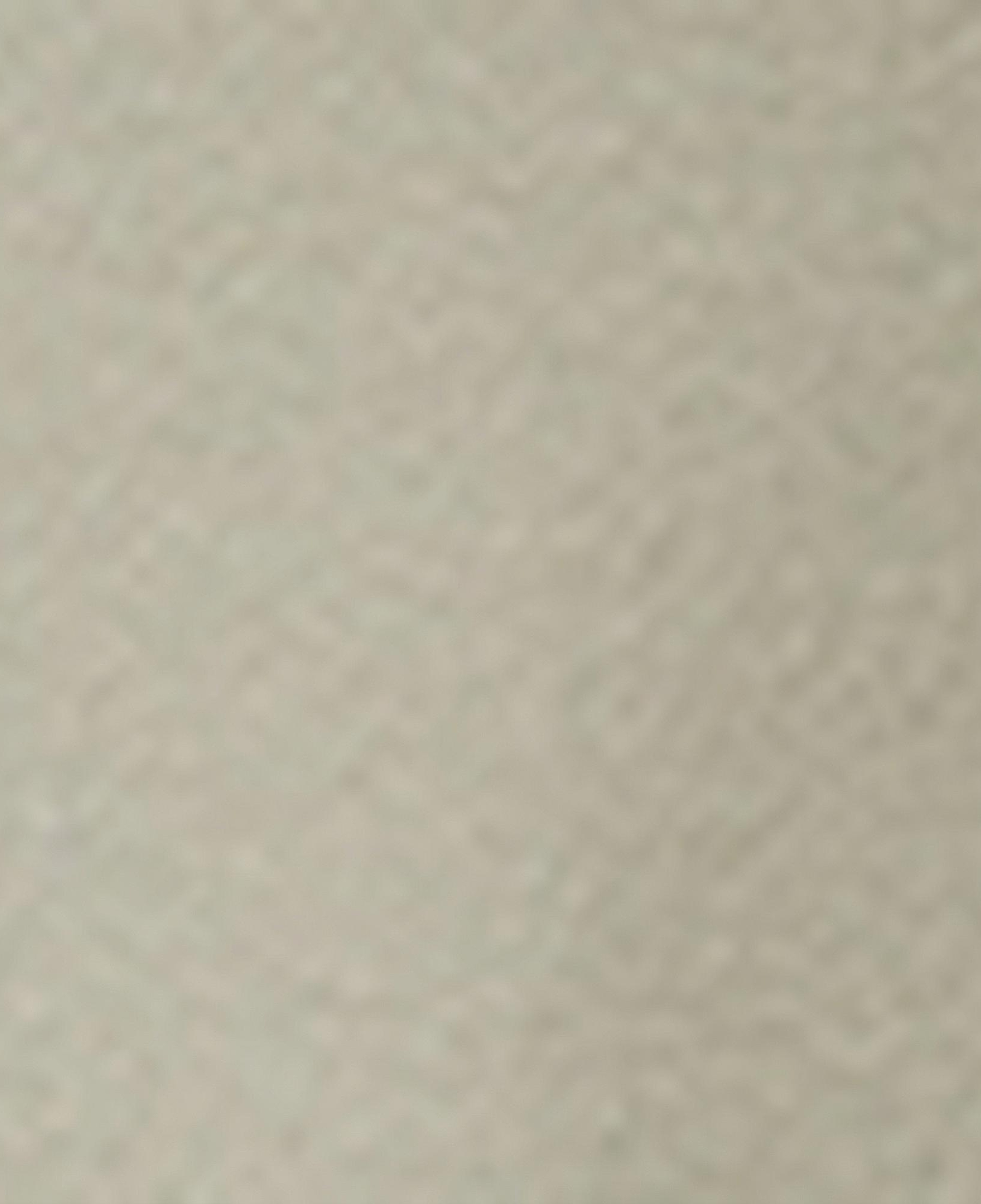 Nautica Kadın Bej Regular Fit Eşofman Altı