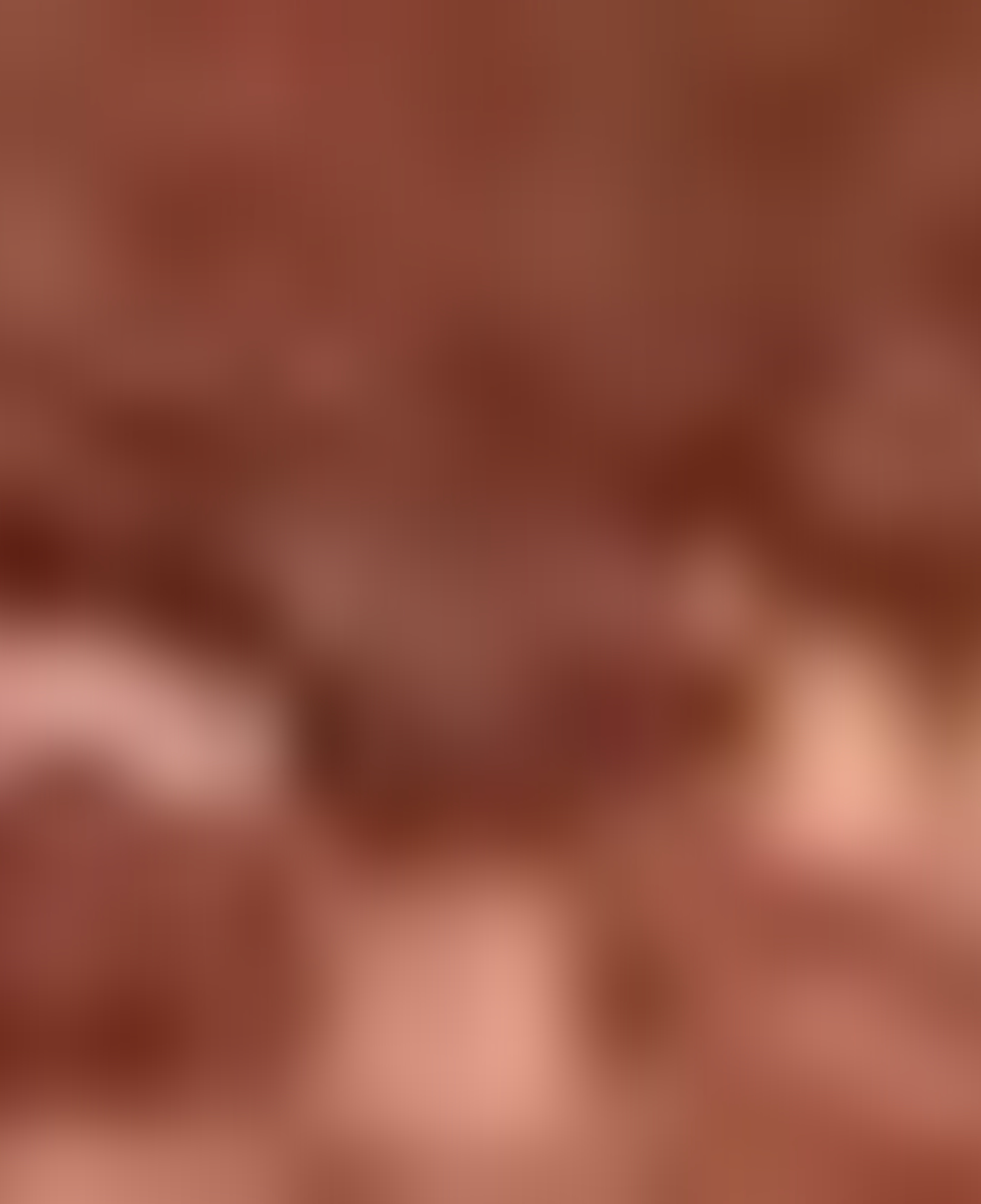 Nautica Kadın Kahverengi Omuz Çantası