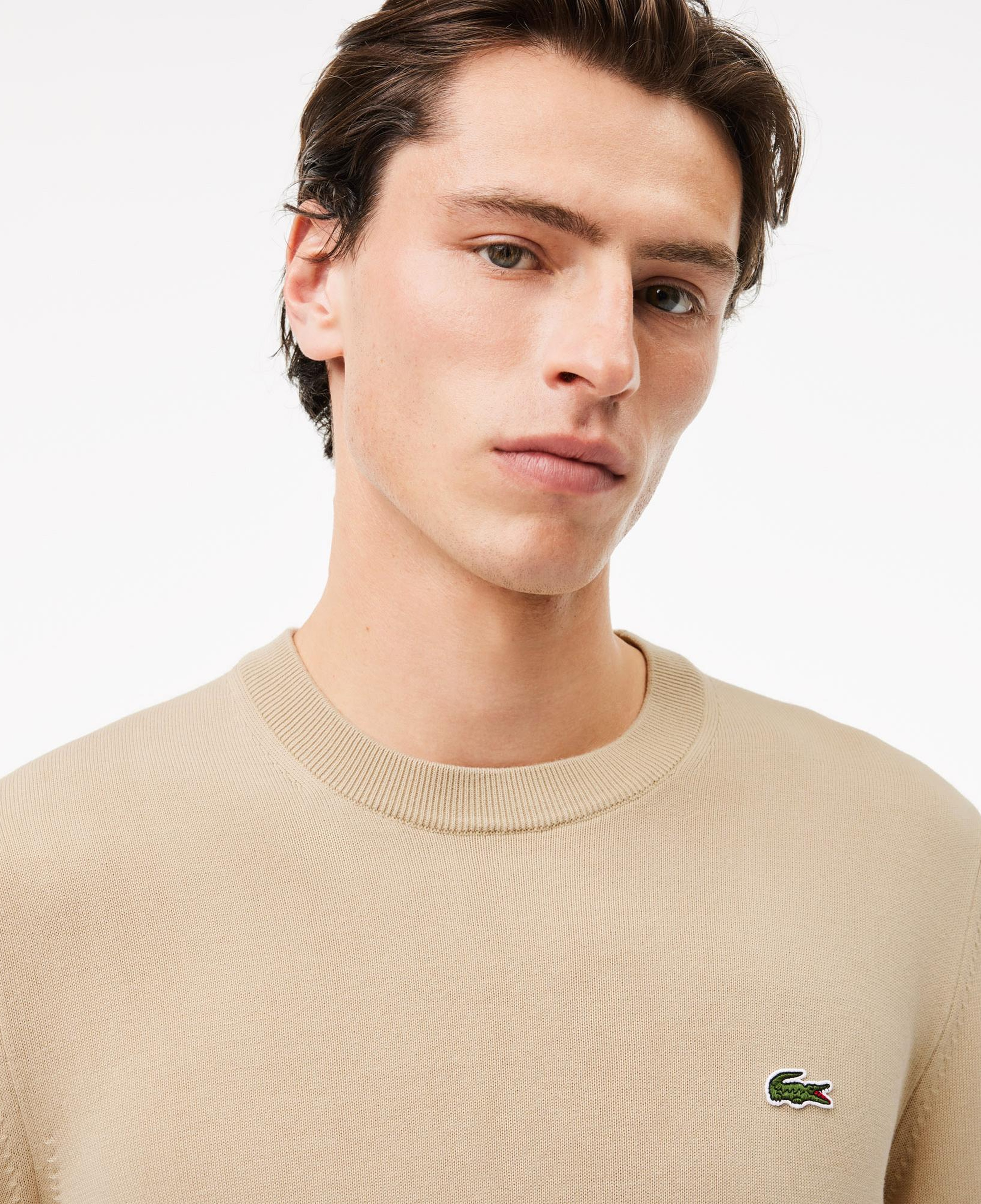 Lacoste Erkek Regular Fit Bisiklet Yaka Krem Kazak