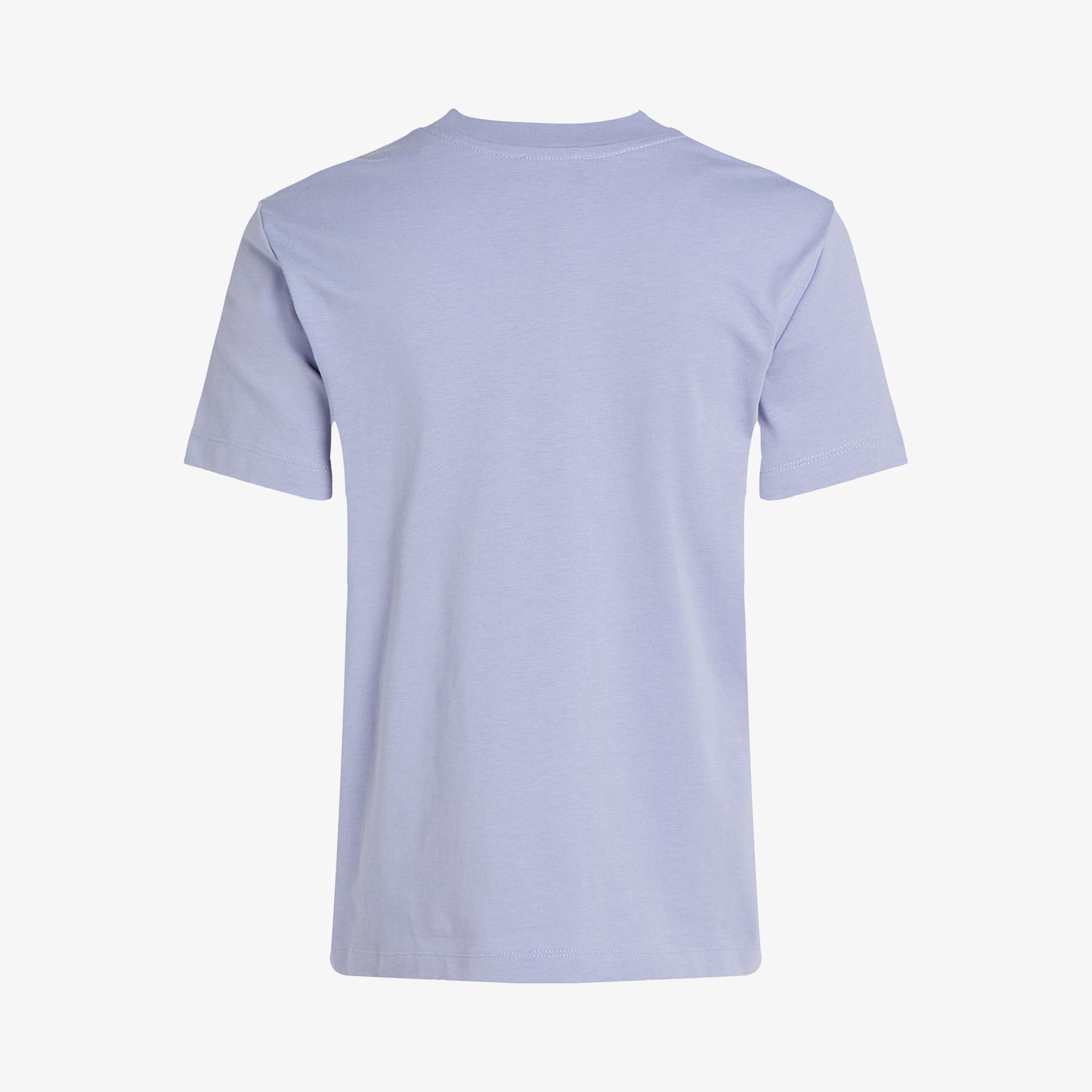 Calvin Klein Regular Kadın Mavi T-Shirt