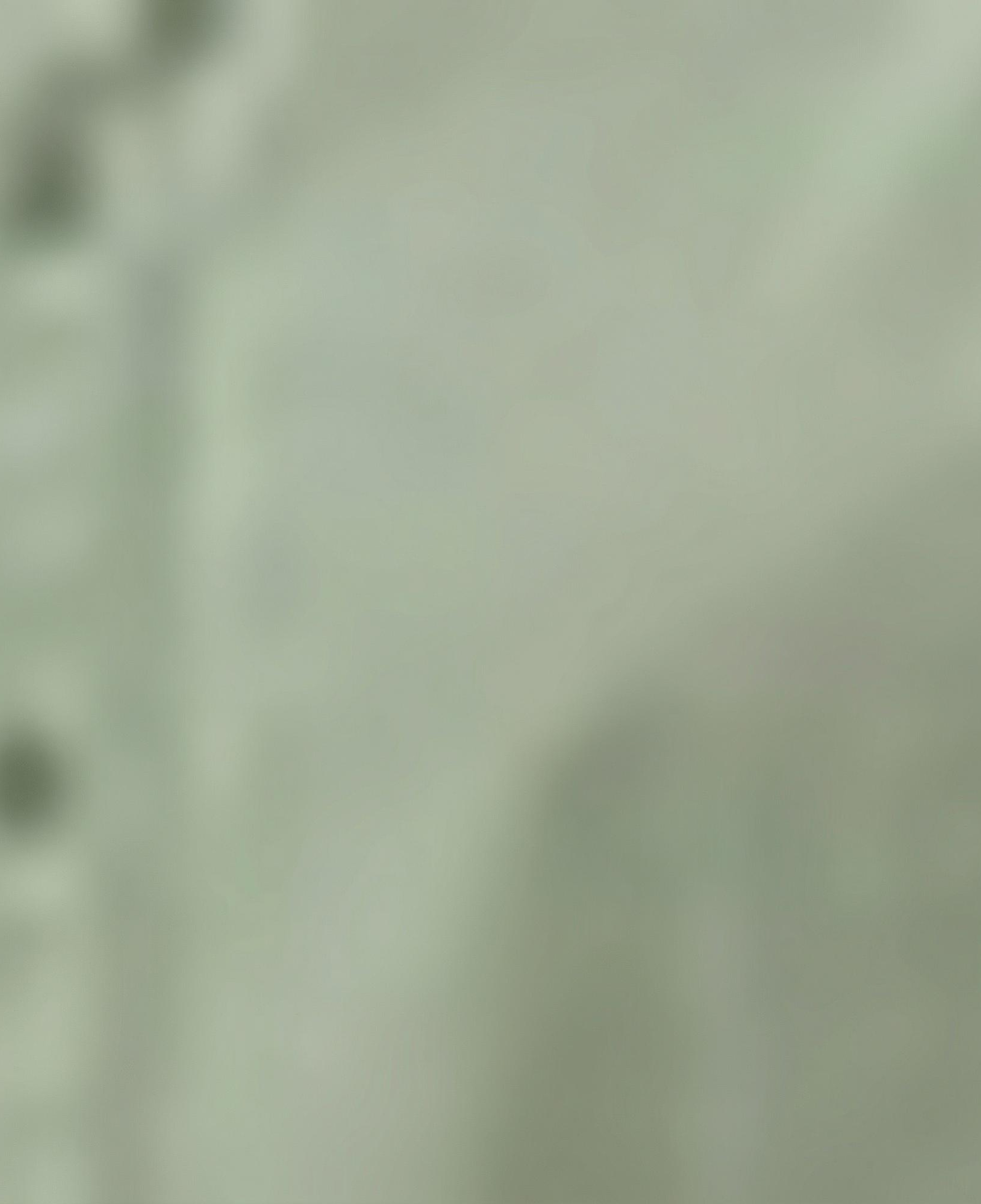 Nautica Erkek Yeşil Classic Fit Gömlek