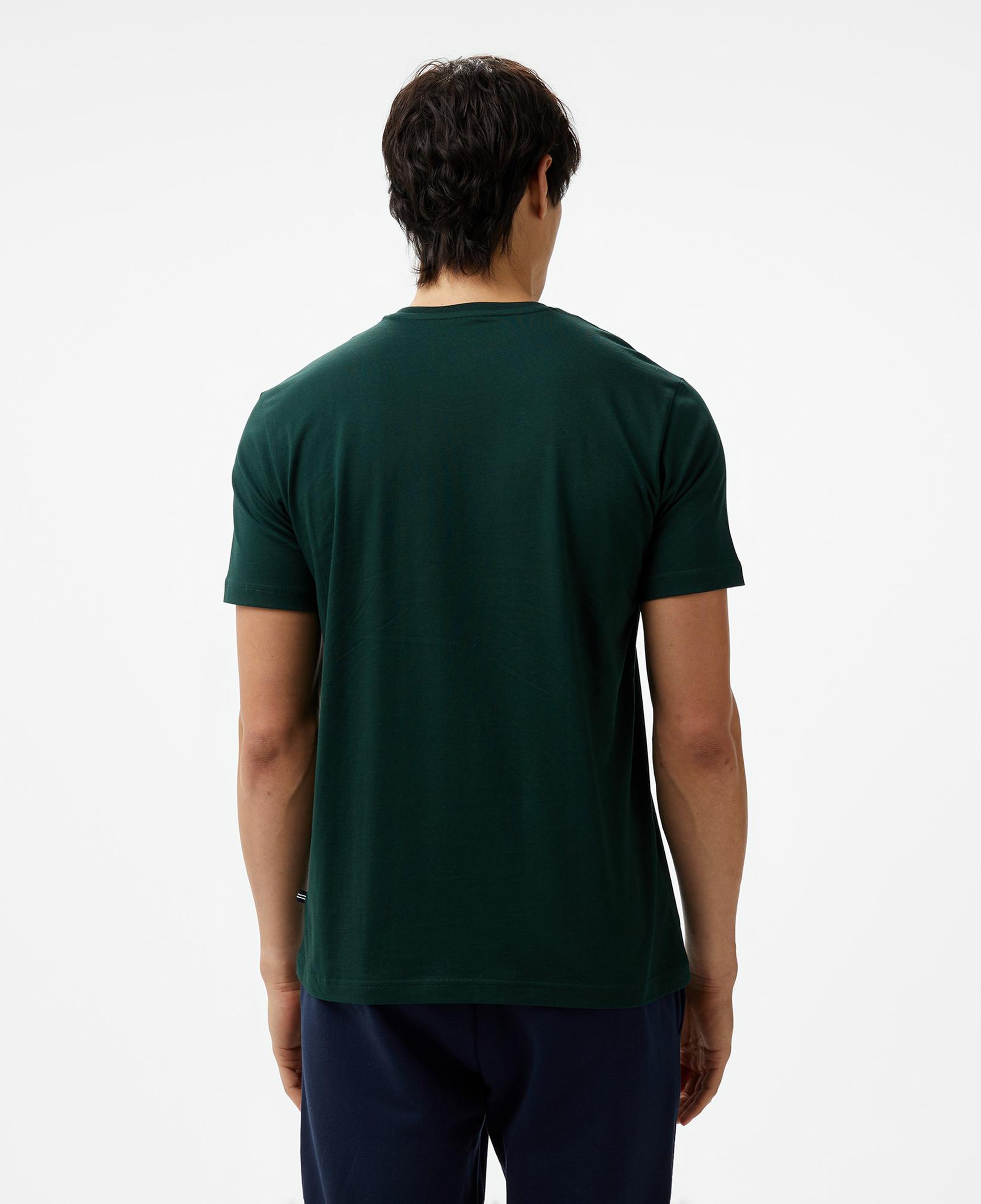 Nautica Erkek Yeşil Standart Fit T-Shirt