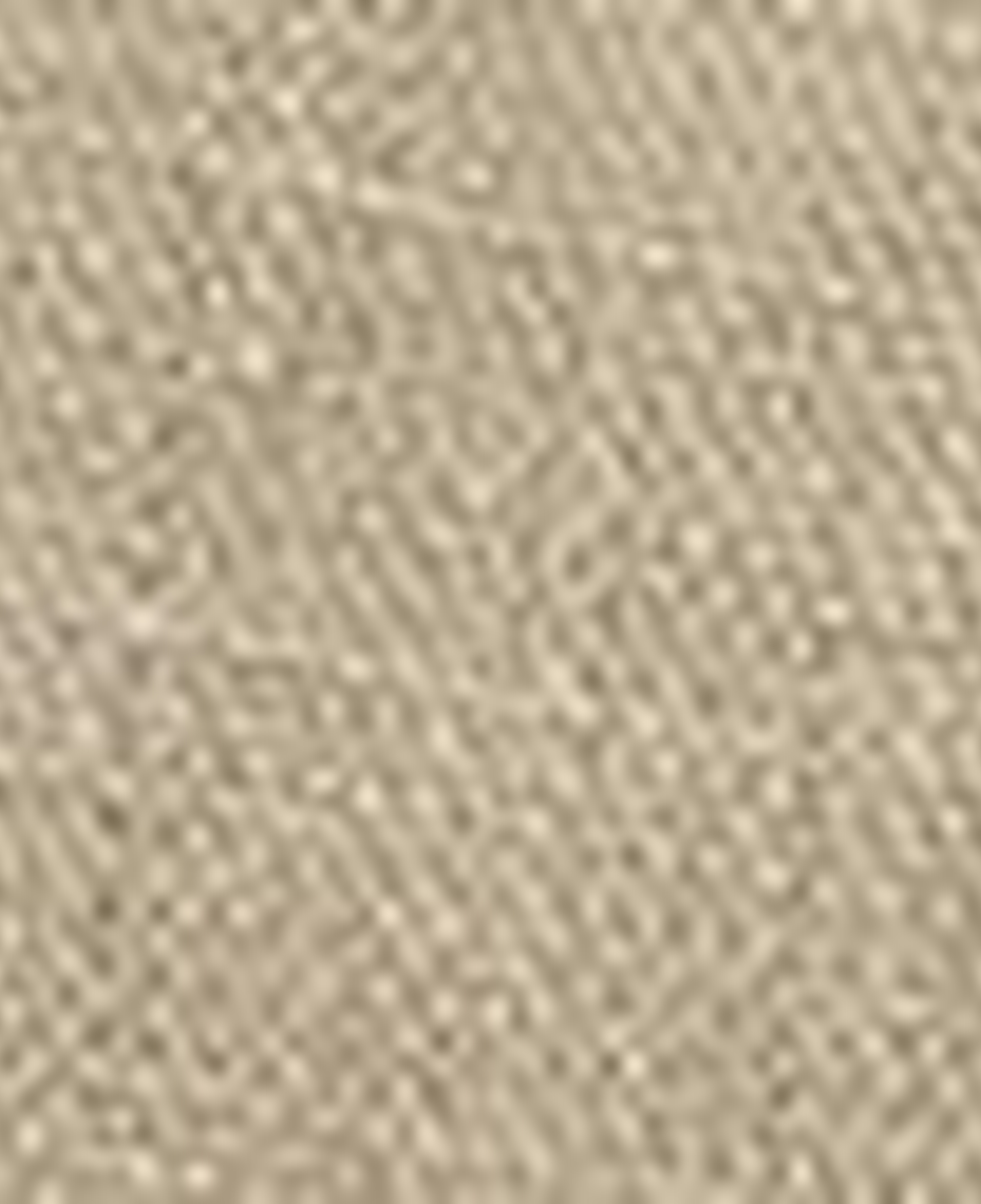 Nautica Erkek Bej Classic Fit Keten Gömlek