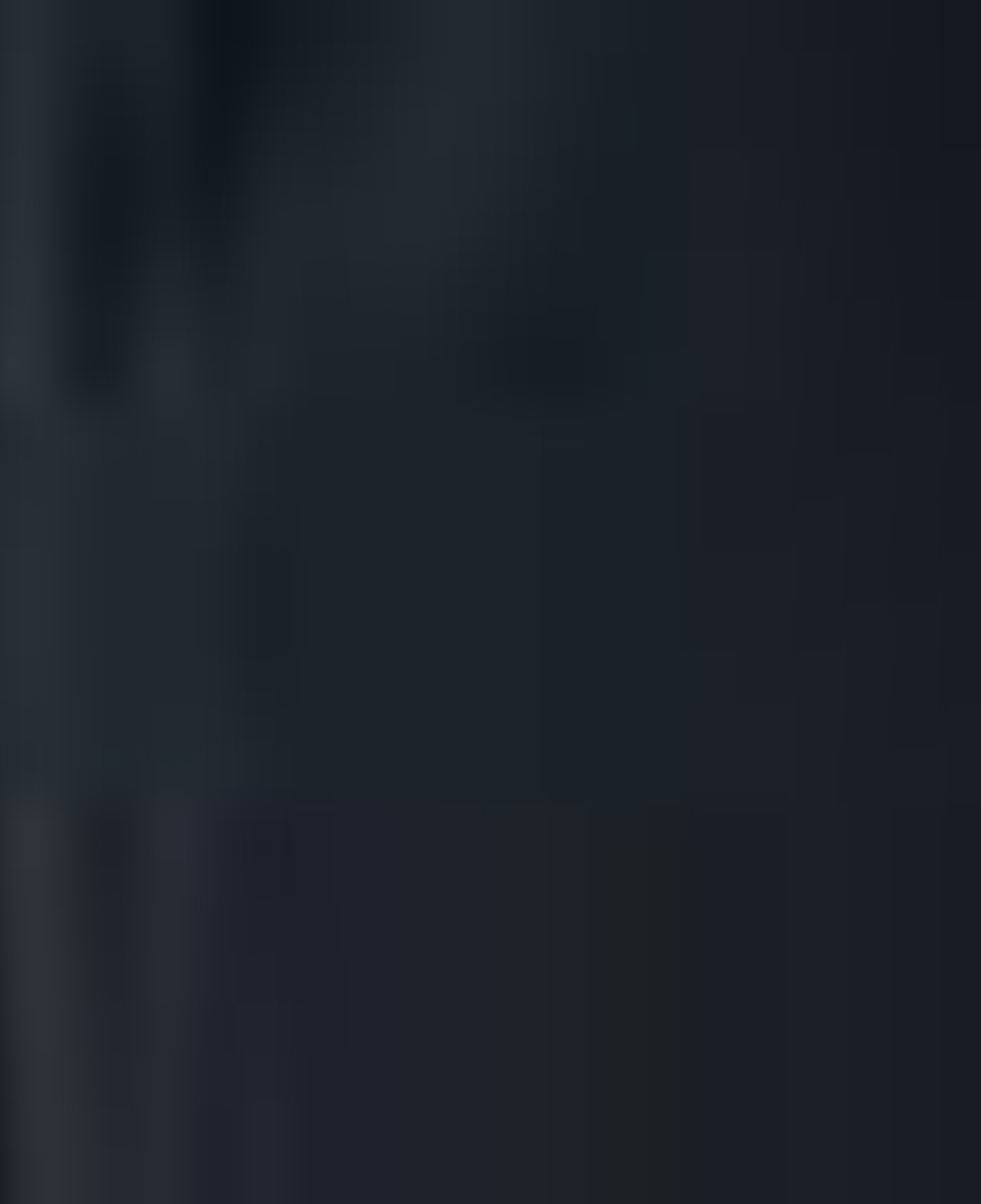 Nautica Erkek Siyah Regular Fit Mont