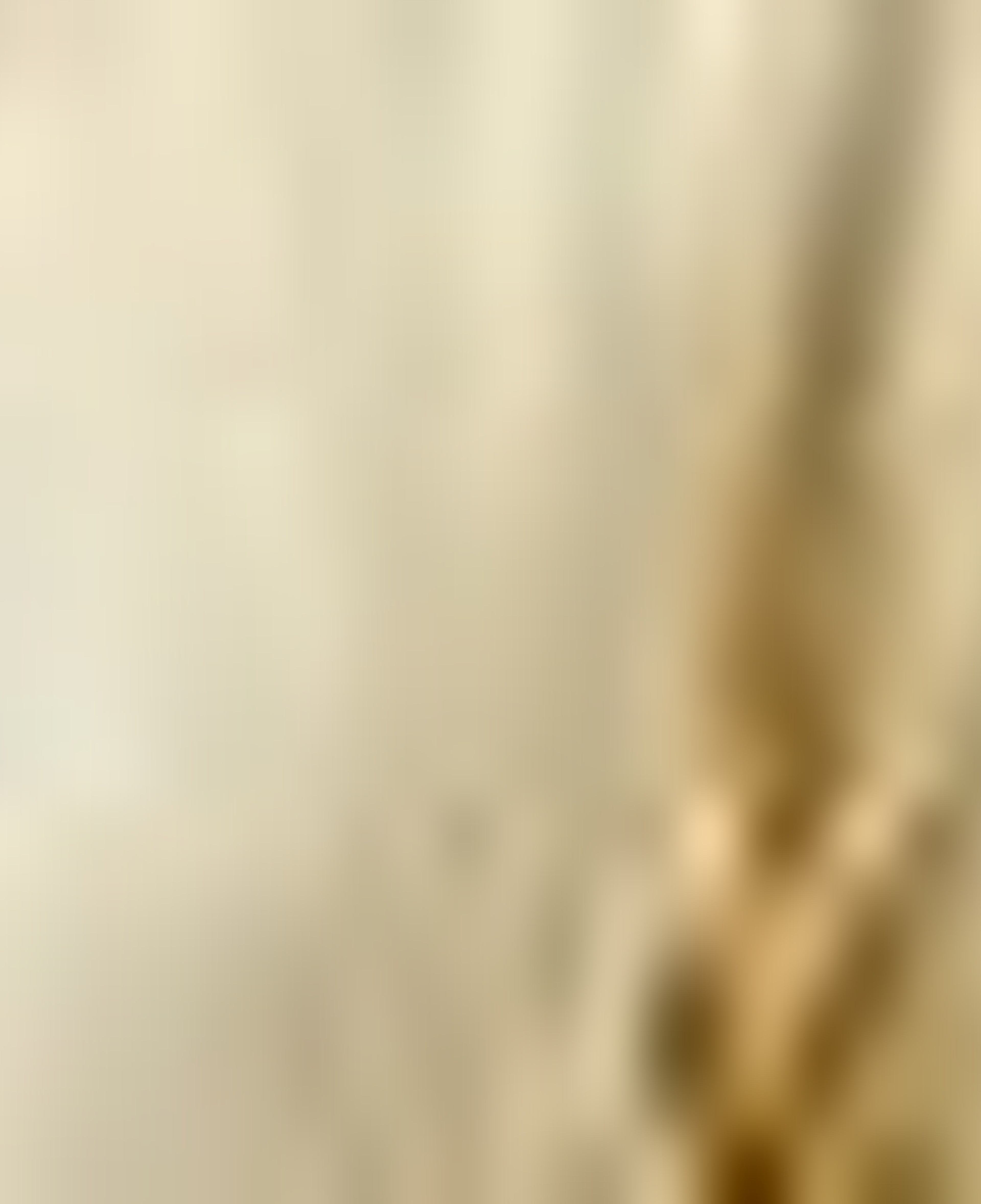 Nautica Erkek Sarı Classic Fit Keten Gömlek