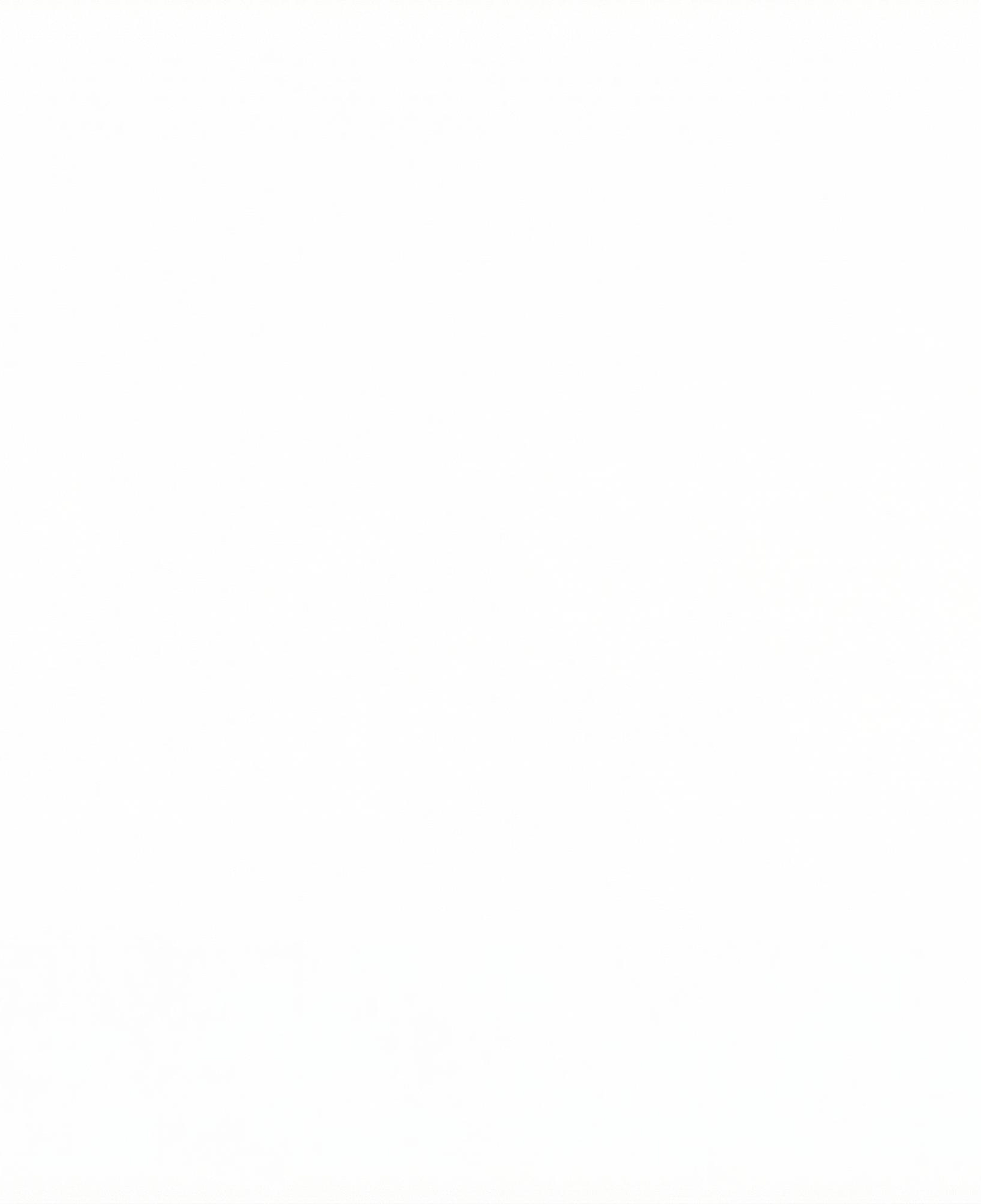 Nautica Kadın Beyaz Regular Fit Nakışlı T-Shirt